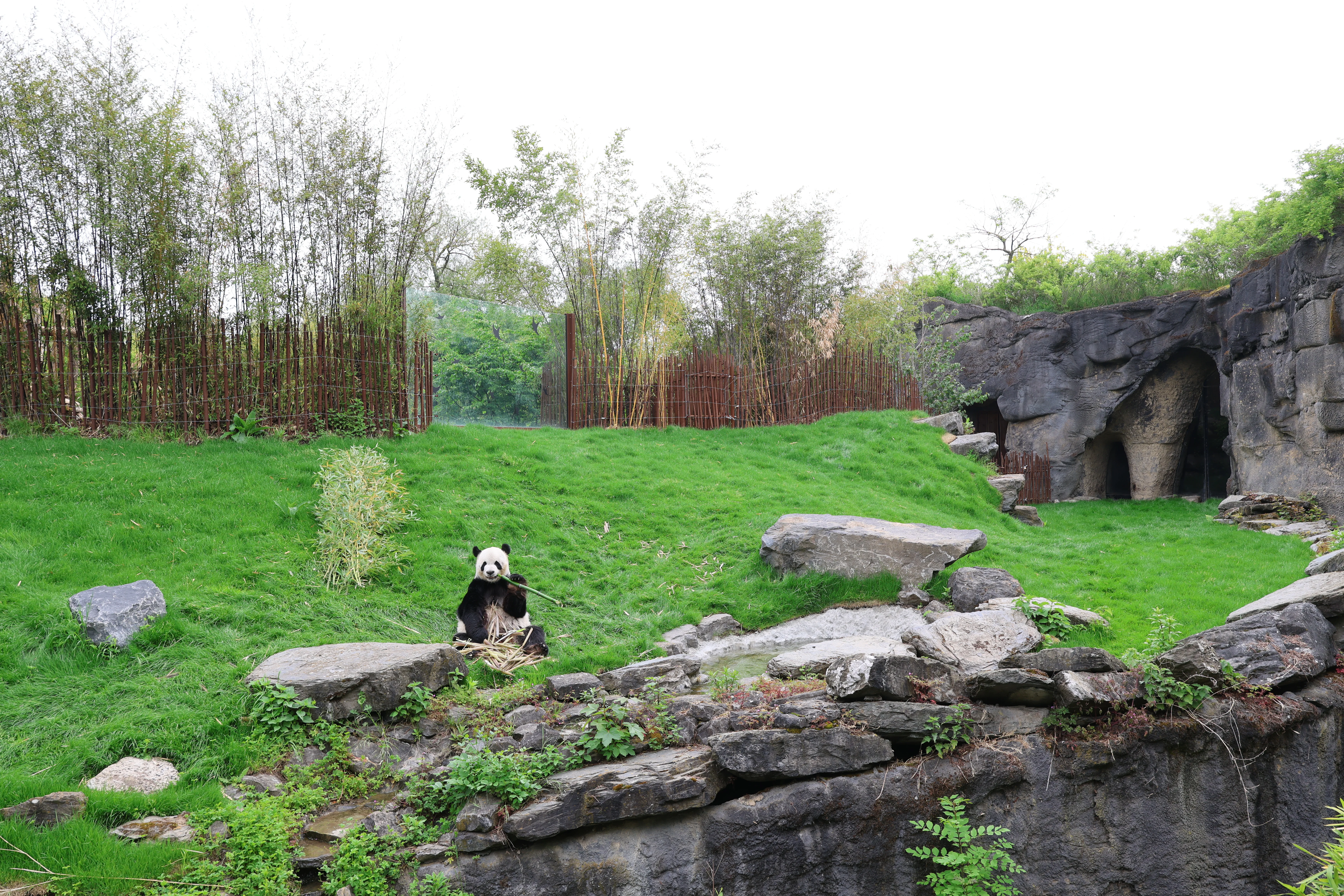 Pairi Daiza