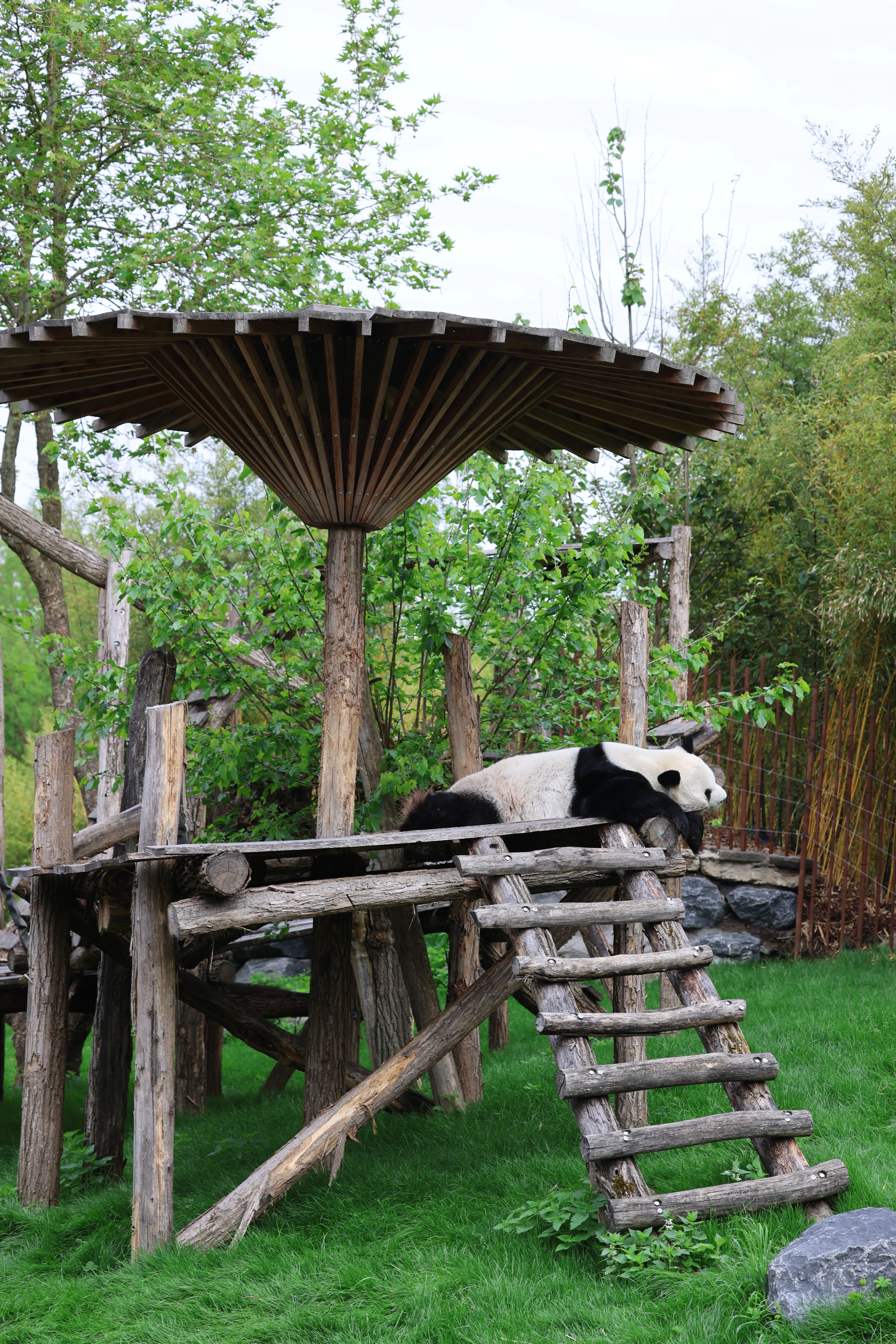 Pairi Daiza