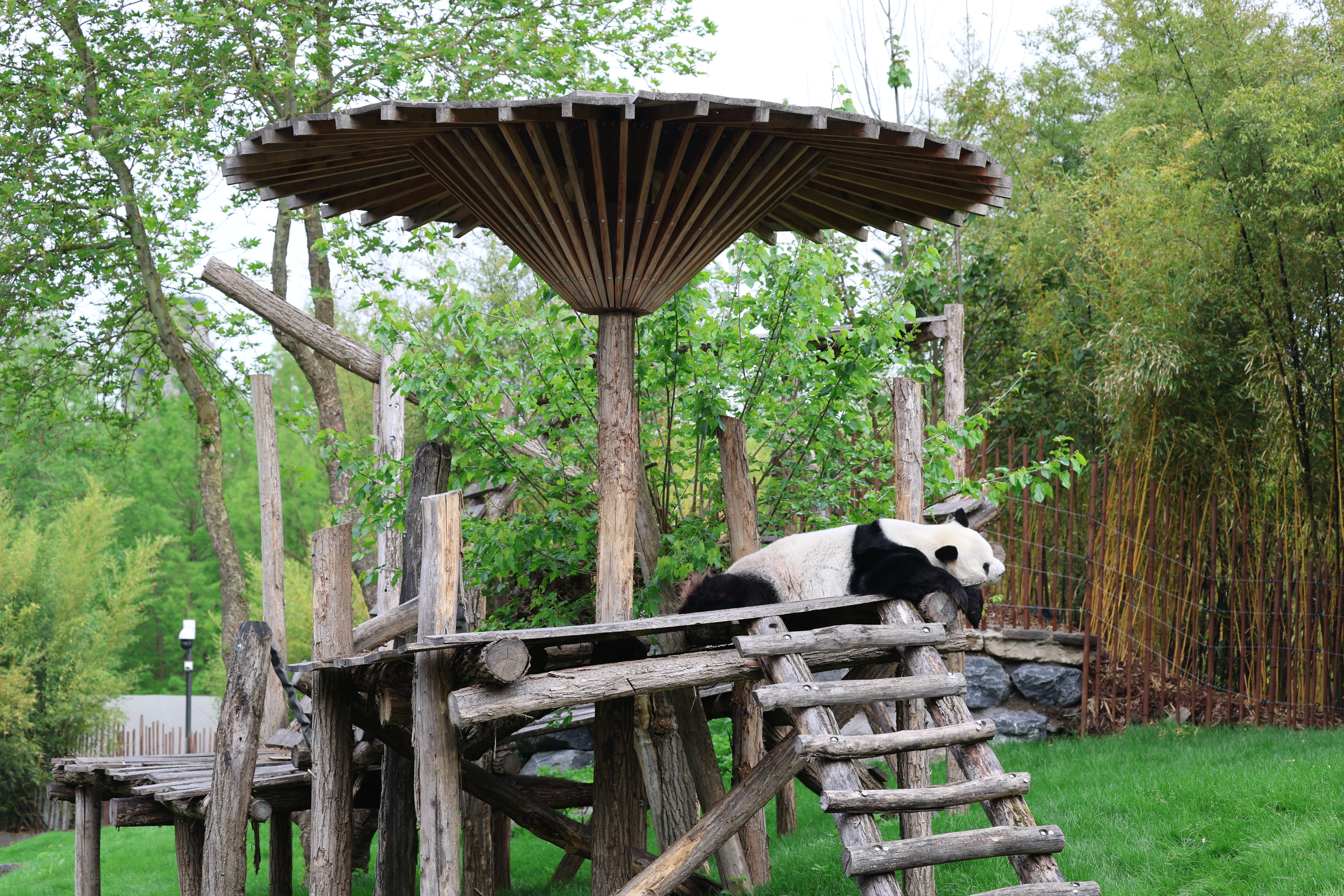 Pairi Daiza