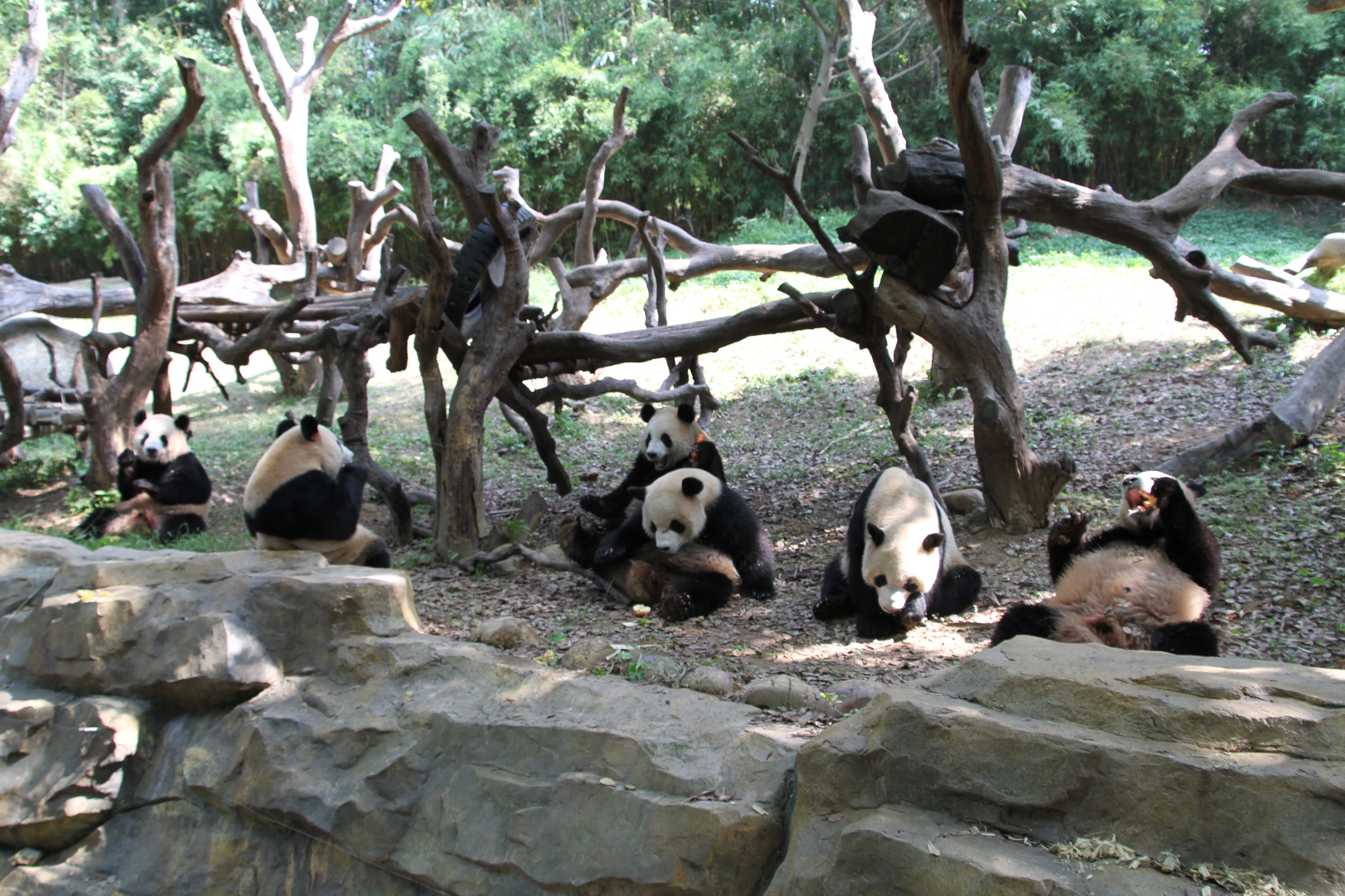 XiangJiang Safari Parc