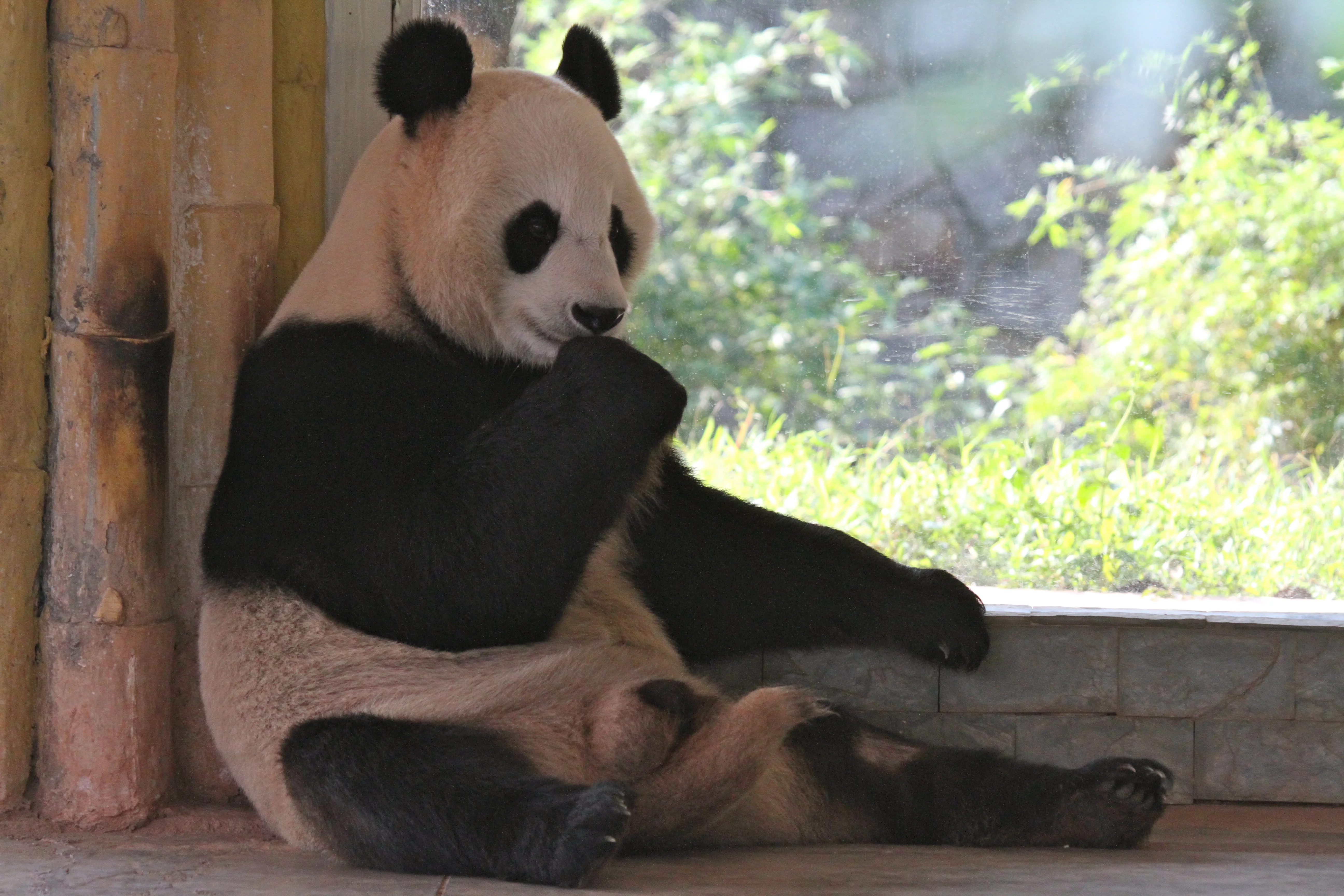 Guangzhou Zoo