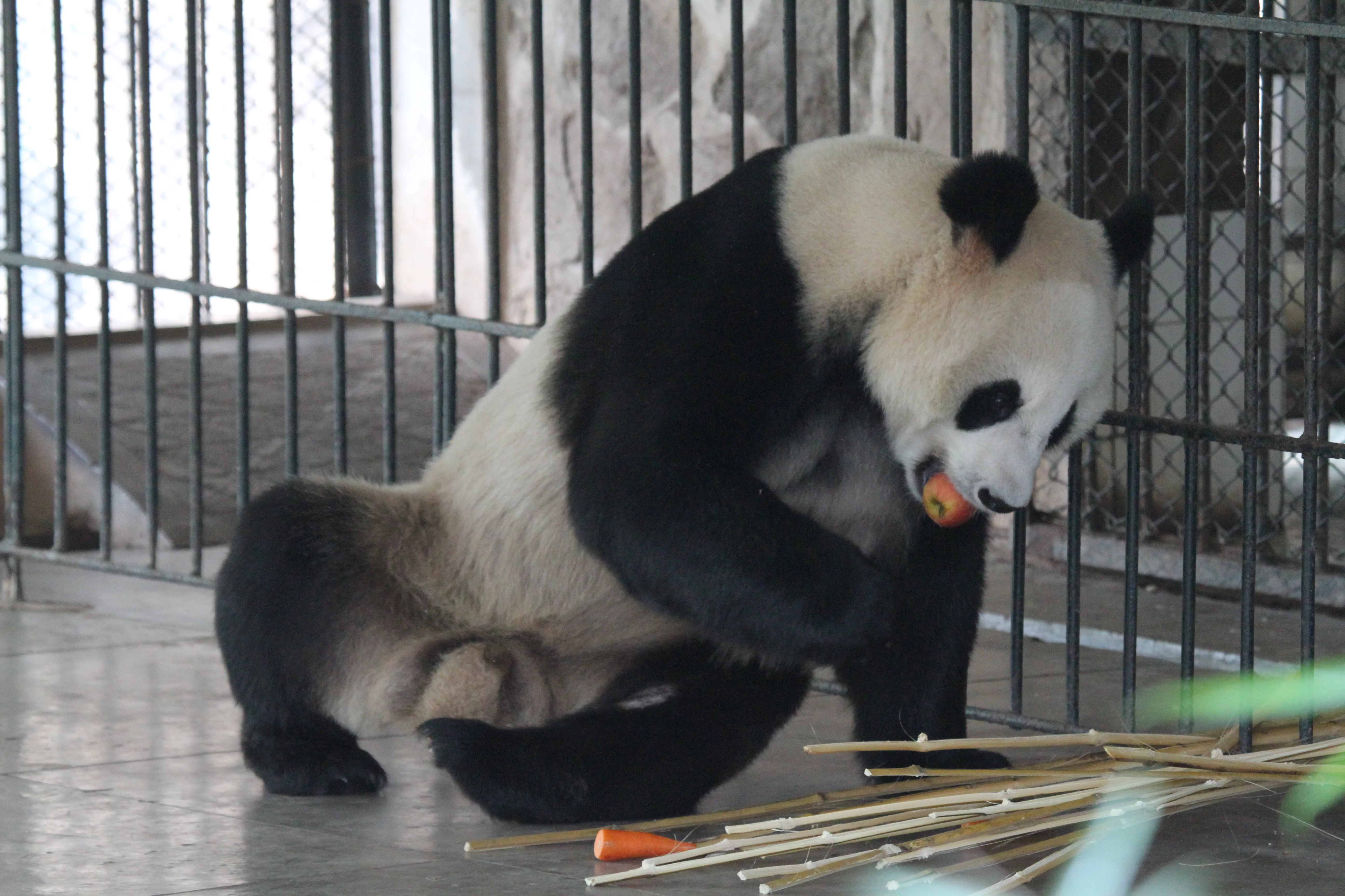 Guangzhou Zoo