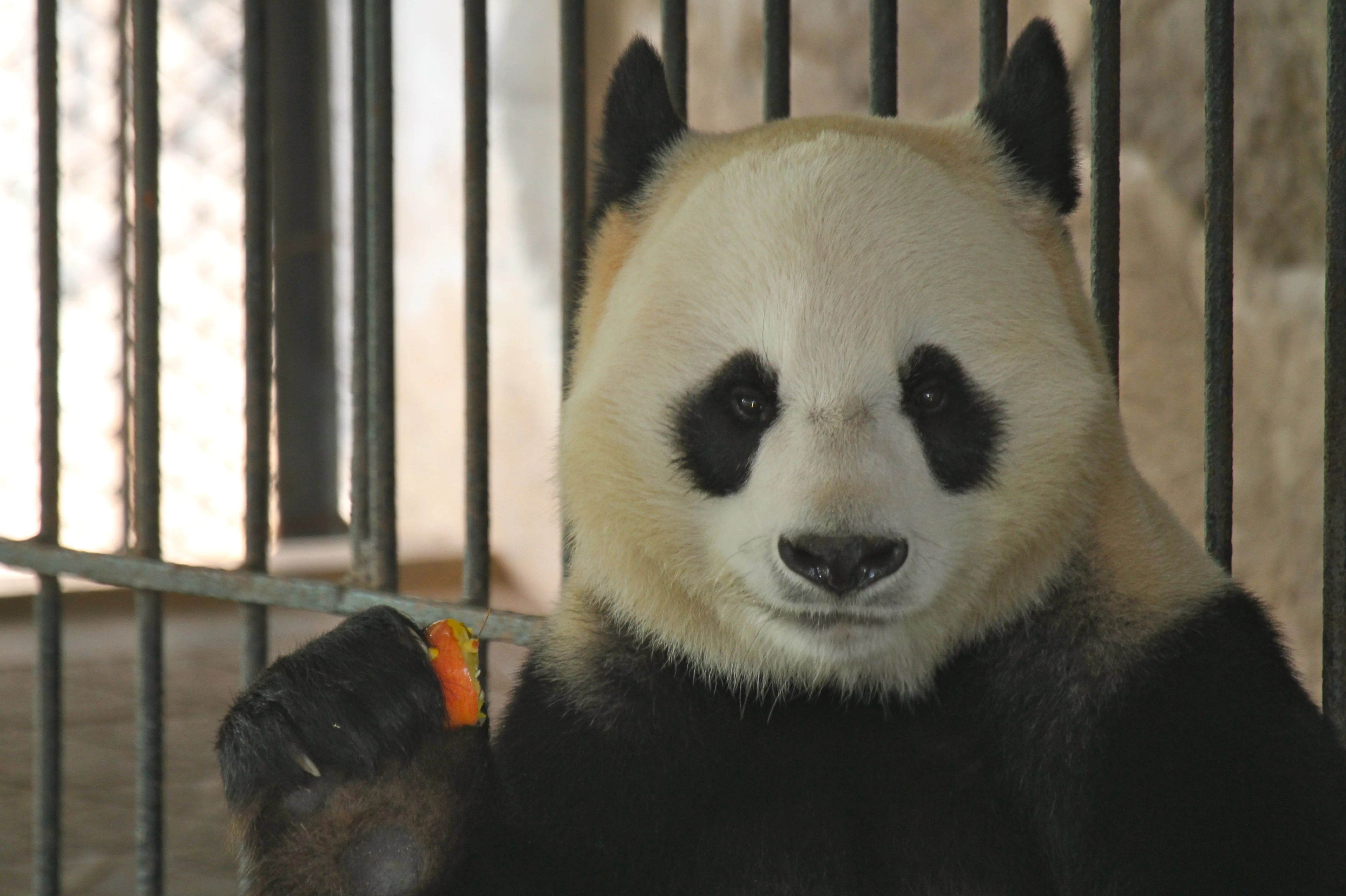 Guangzhou Zoo