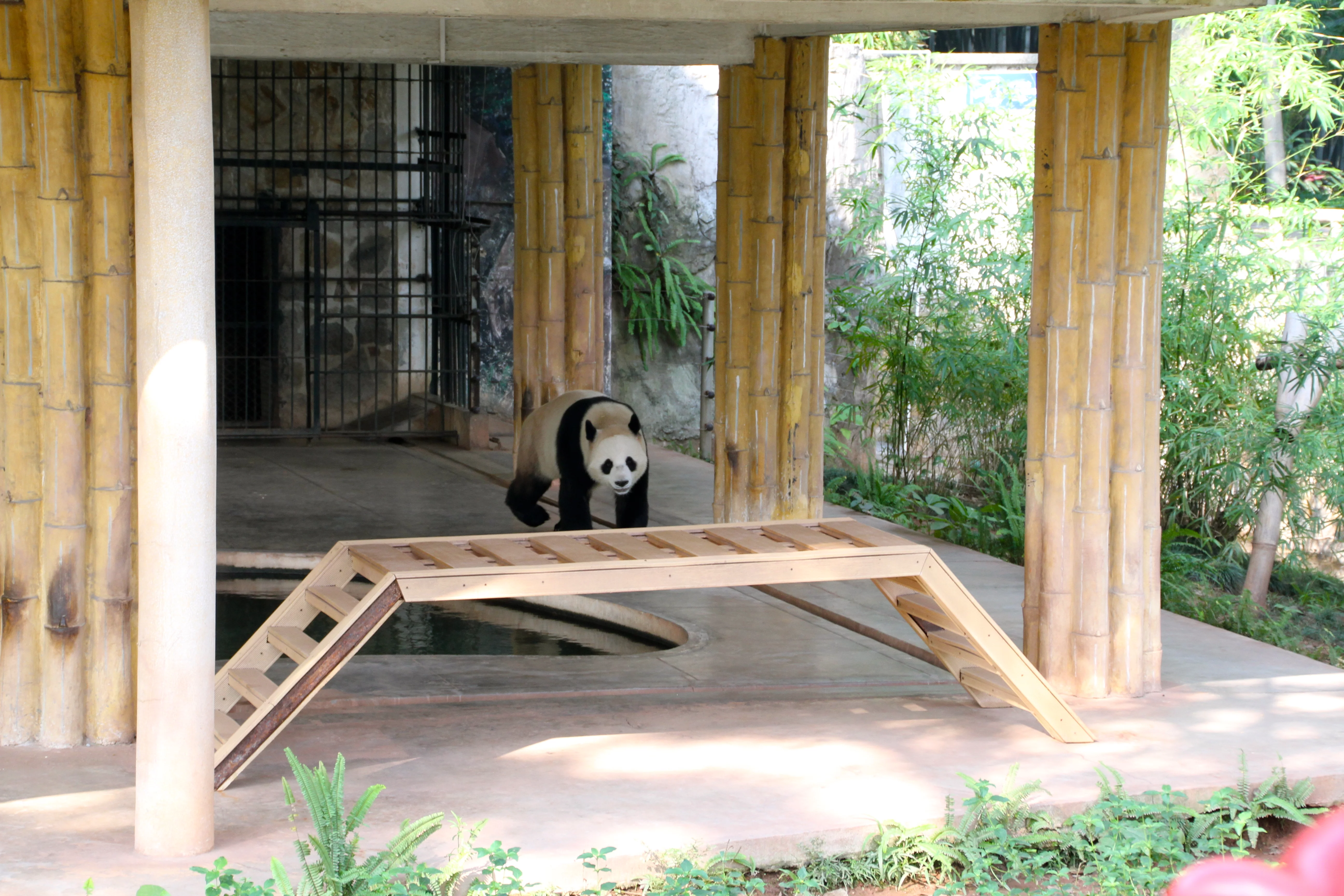 Guangzhou Zoo