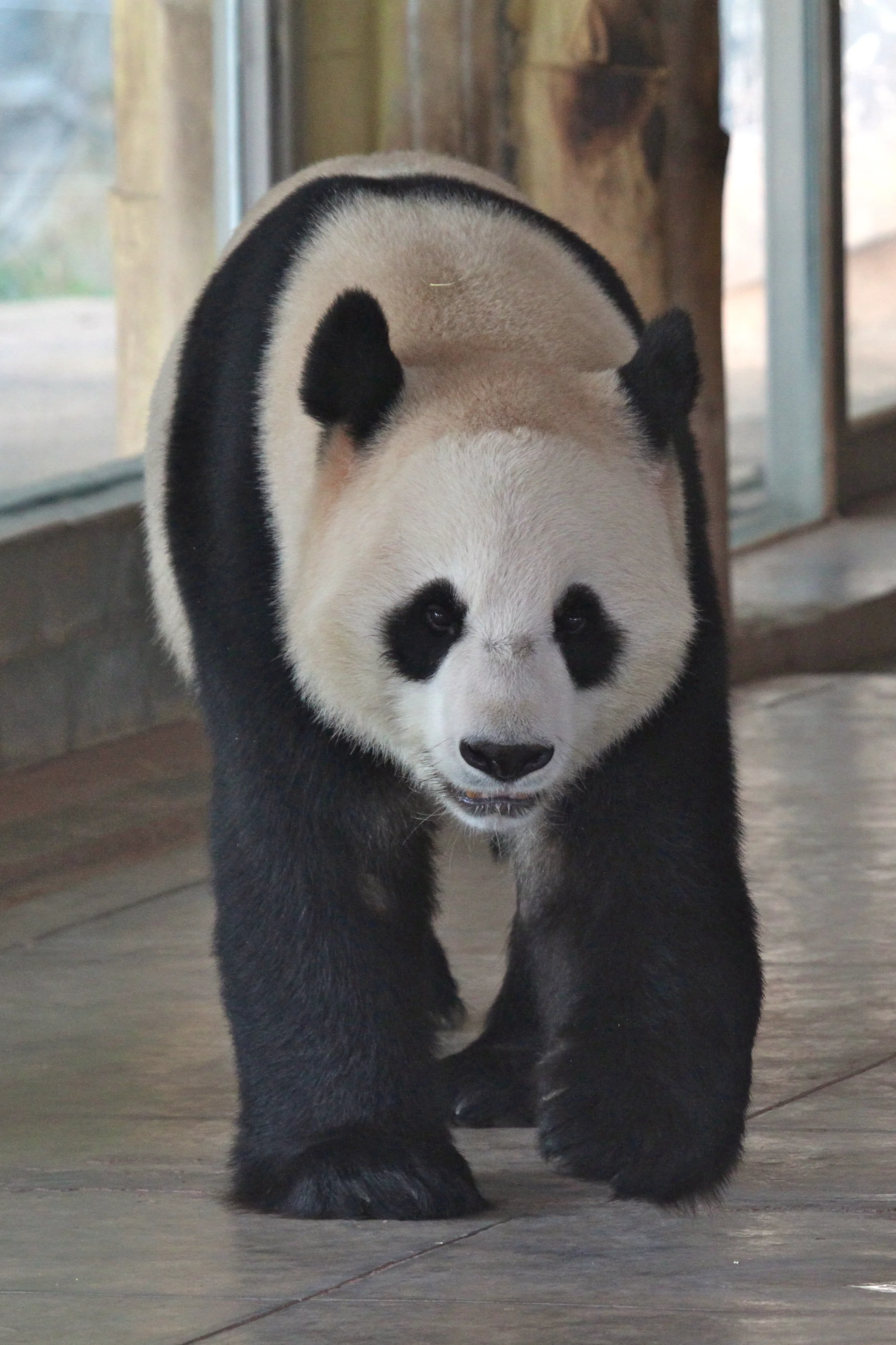 Guangzhou Zoo