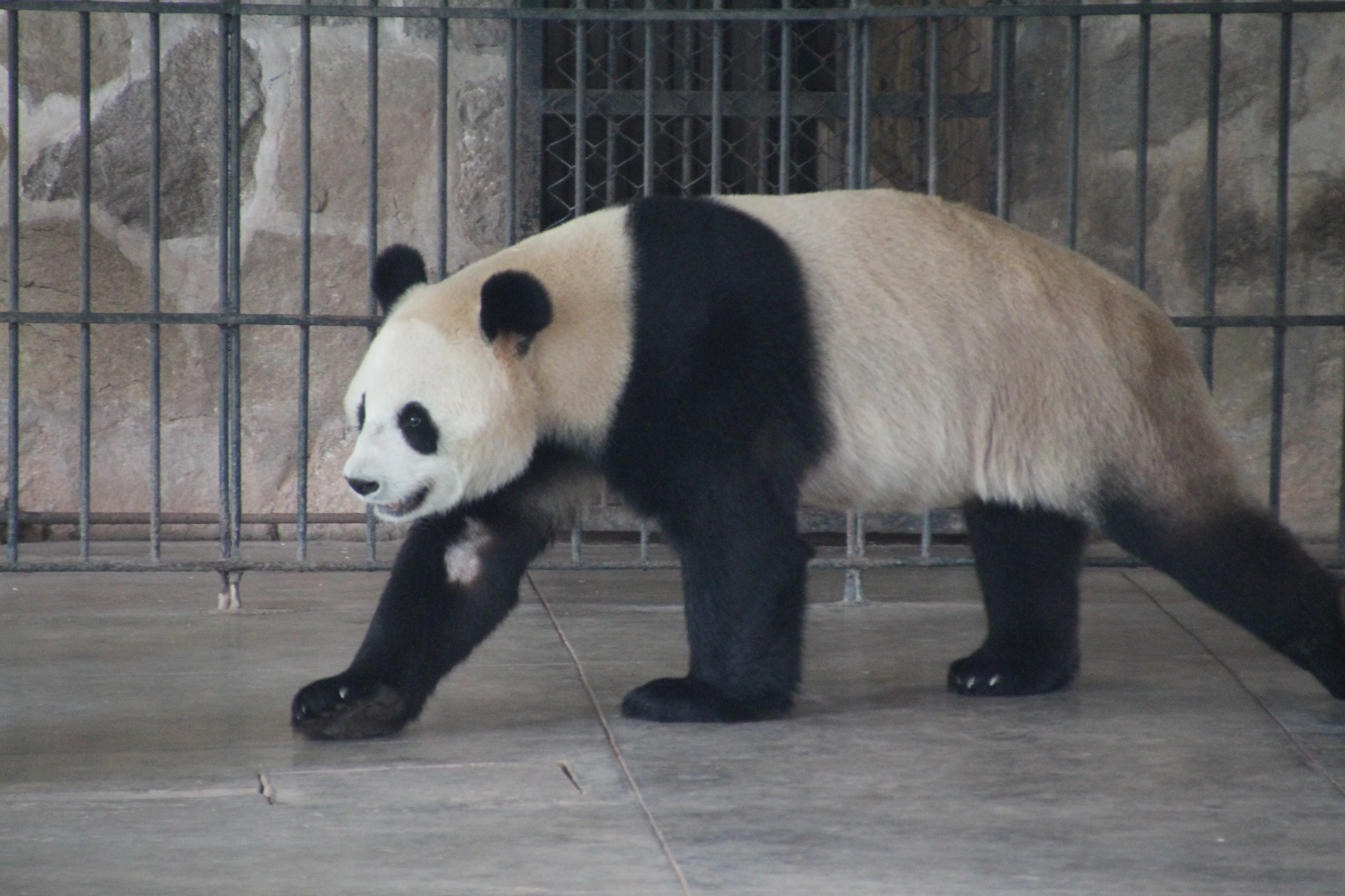 Guangzhou Zoo