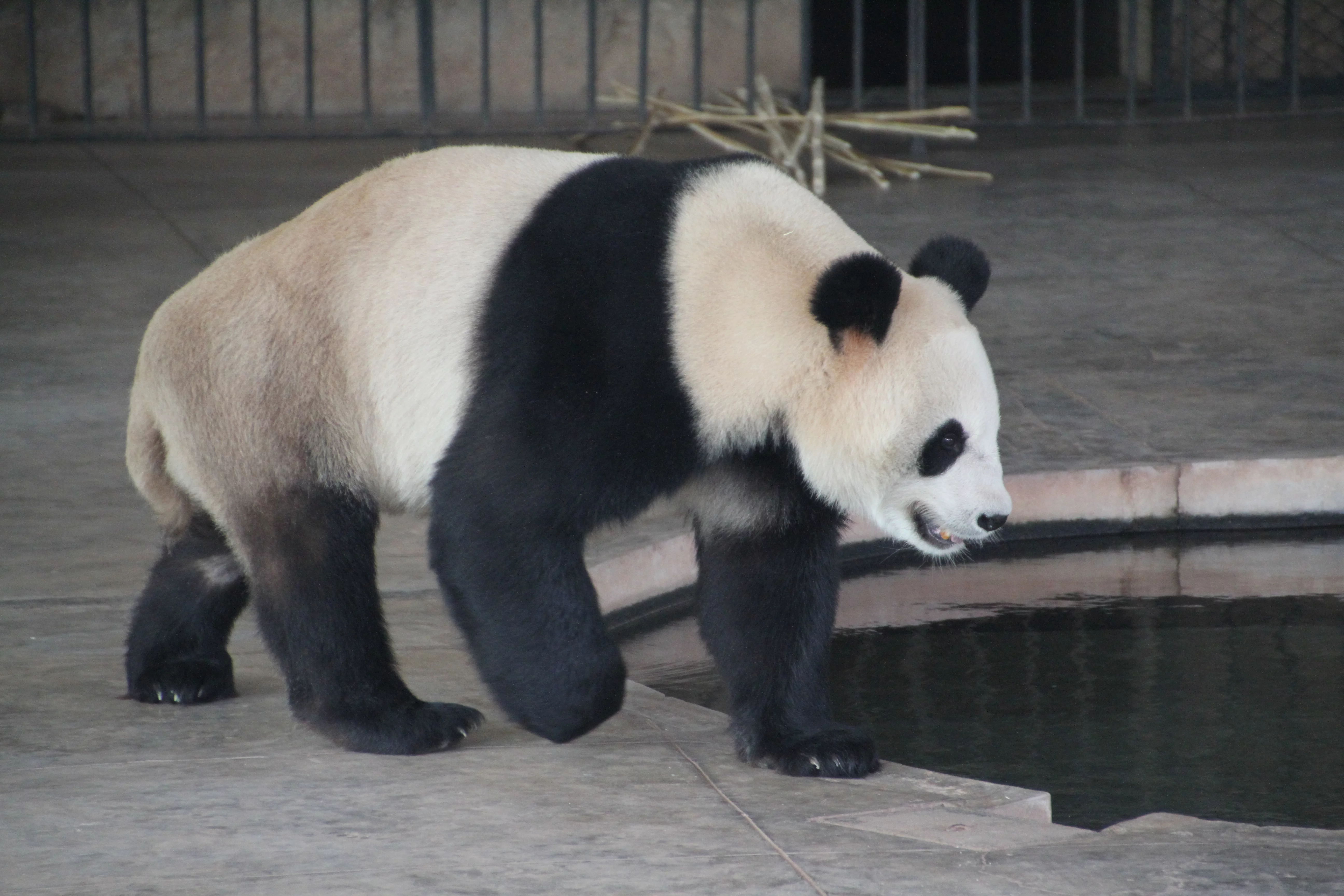 Guangzhou Zoo