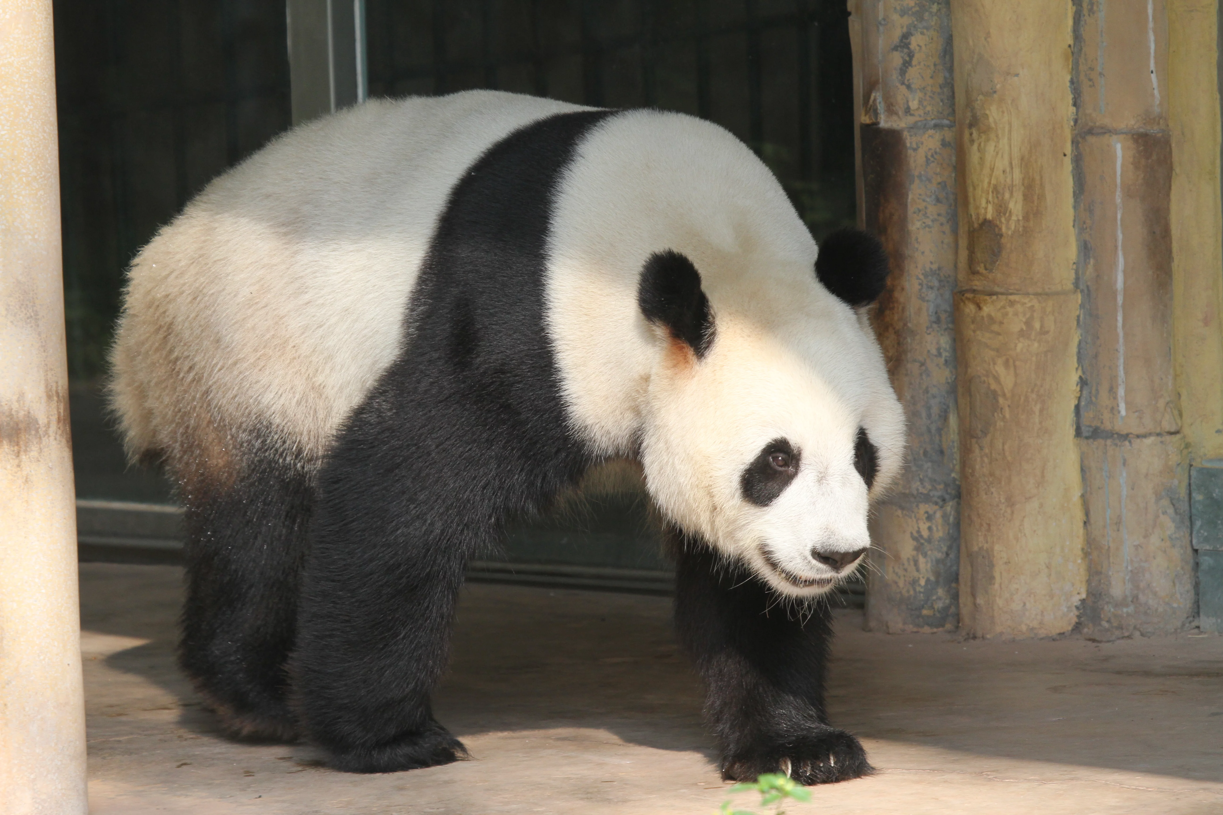 Guangzhou Zoo