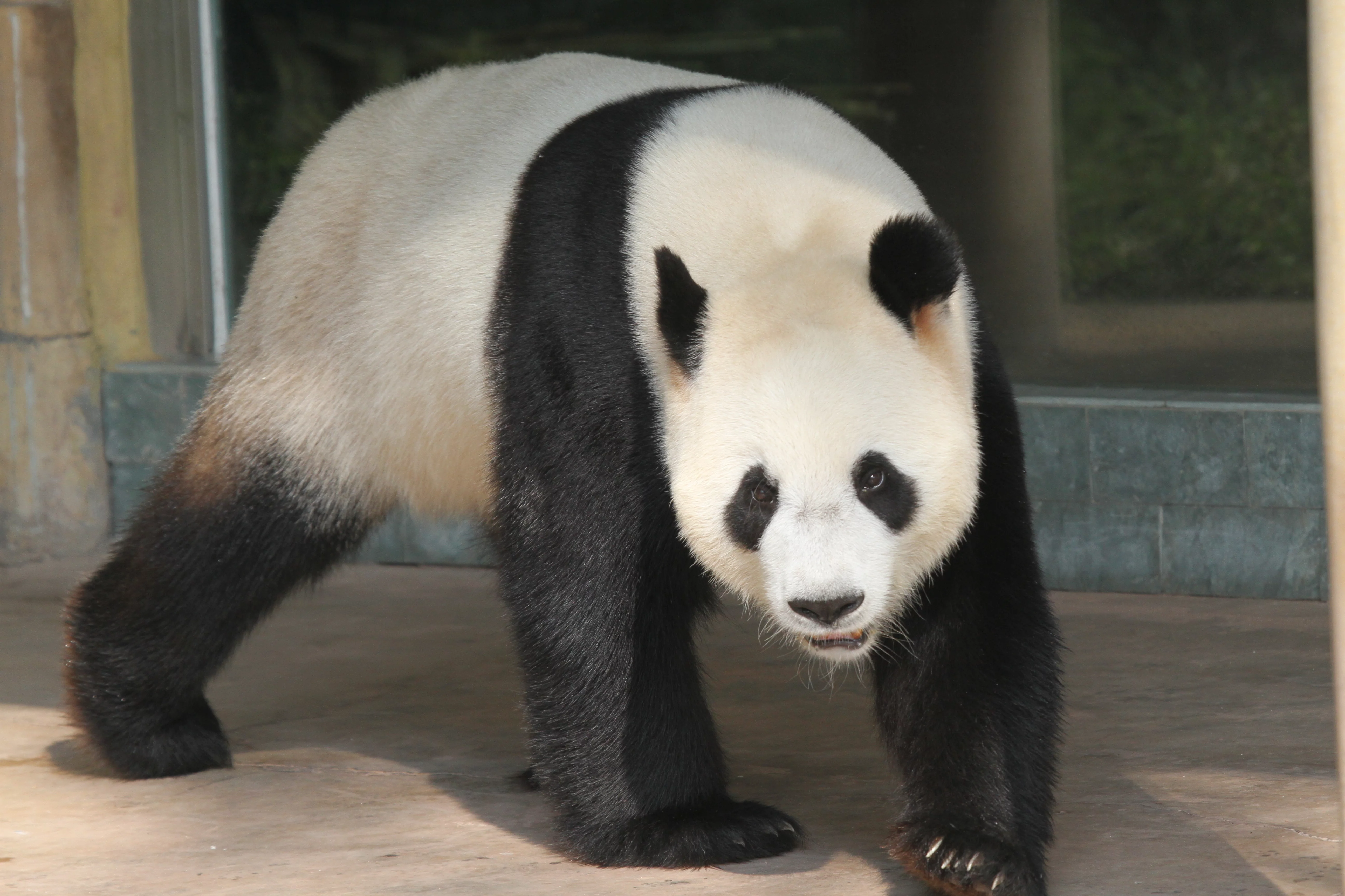 Guangzhou Zoo
