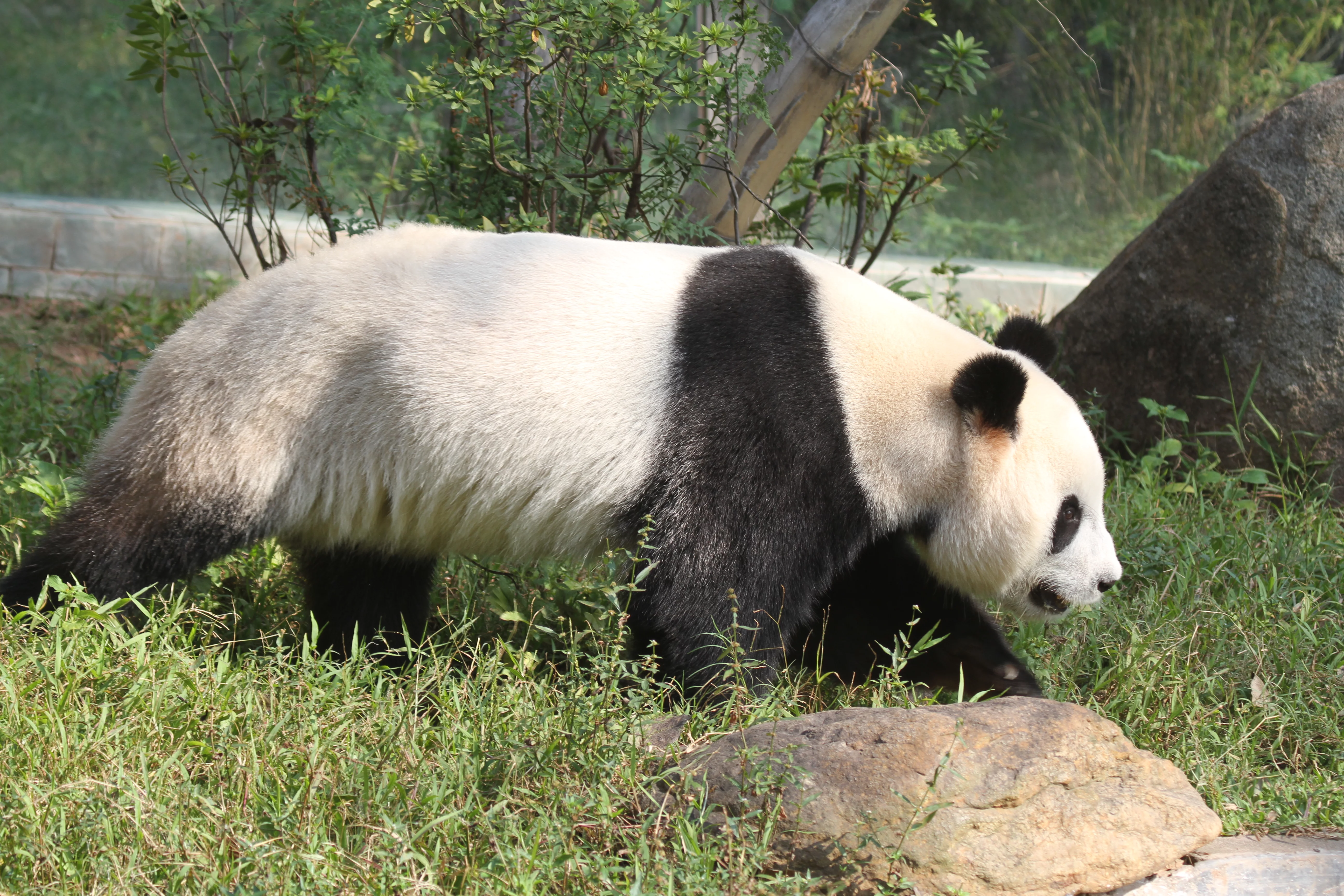 Guangzhou Zoo