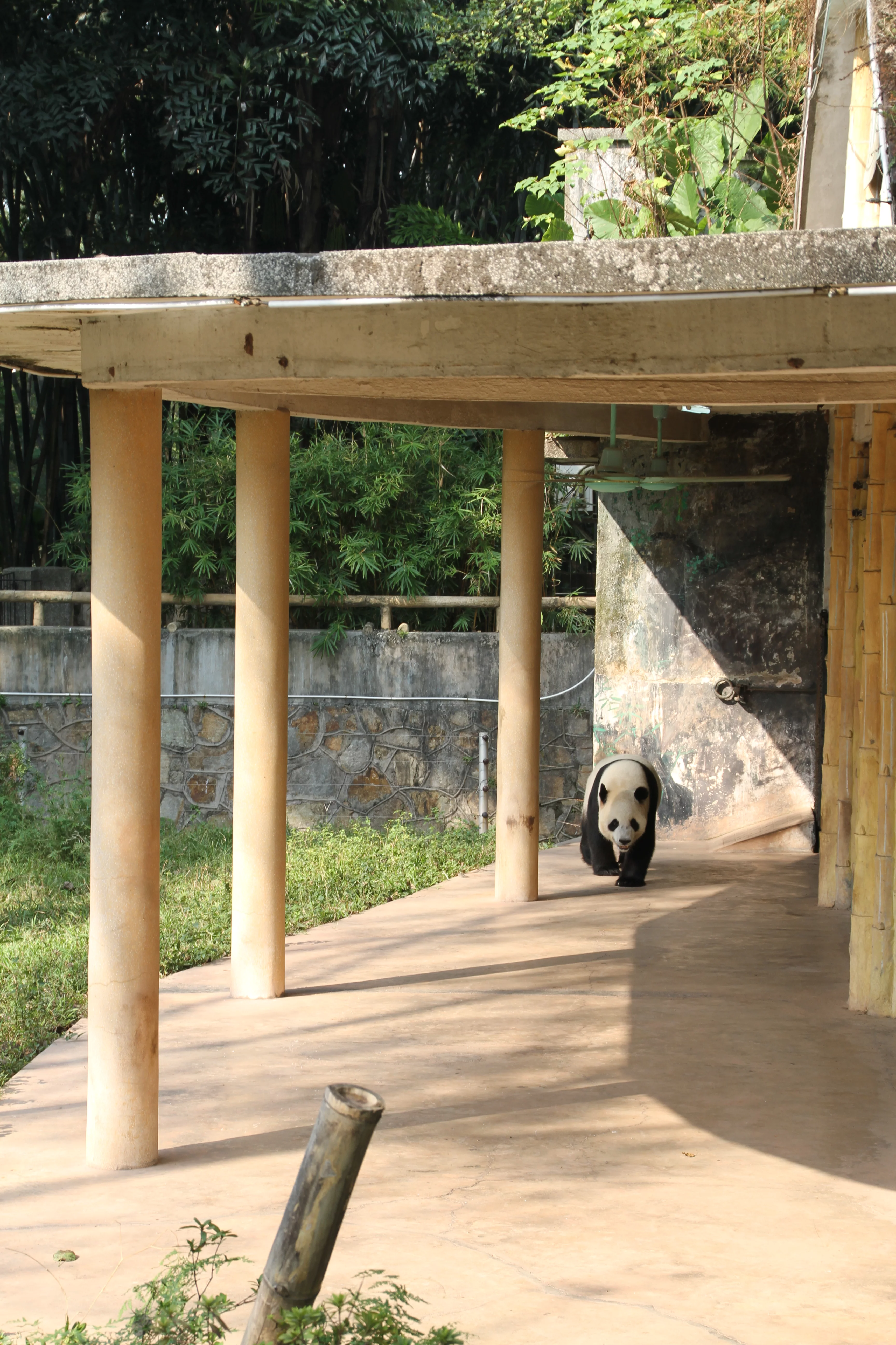 Guangzhou Zoo