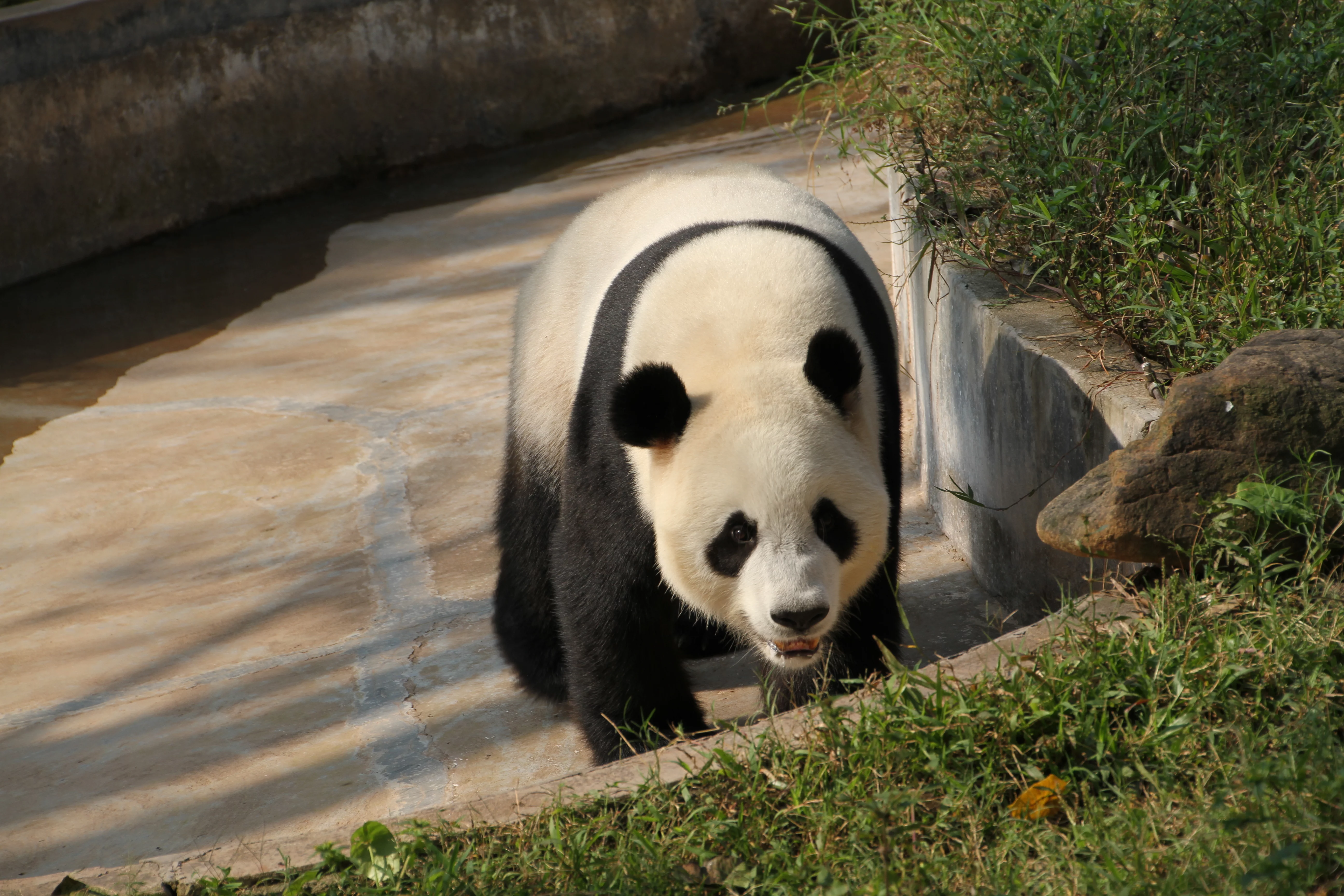 Guangzhou Zoo
