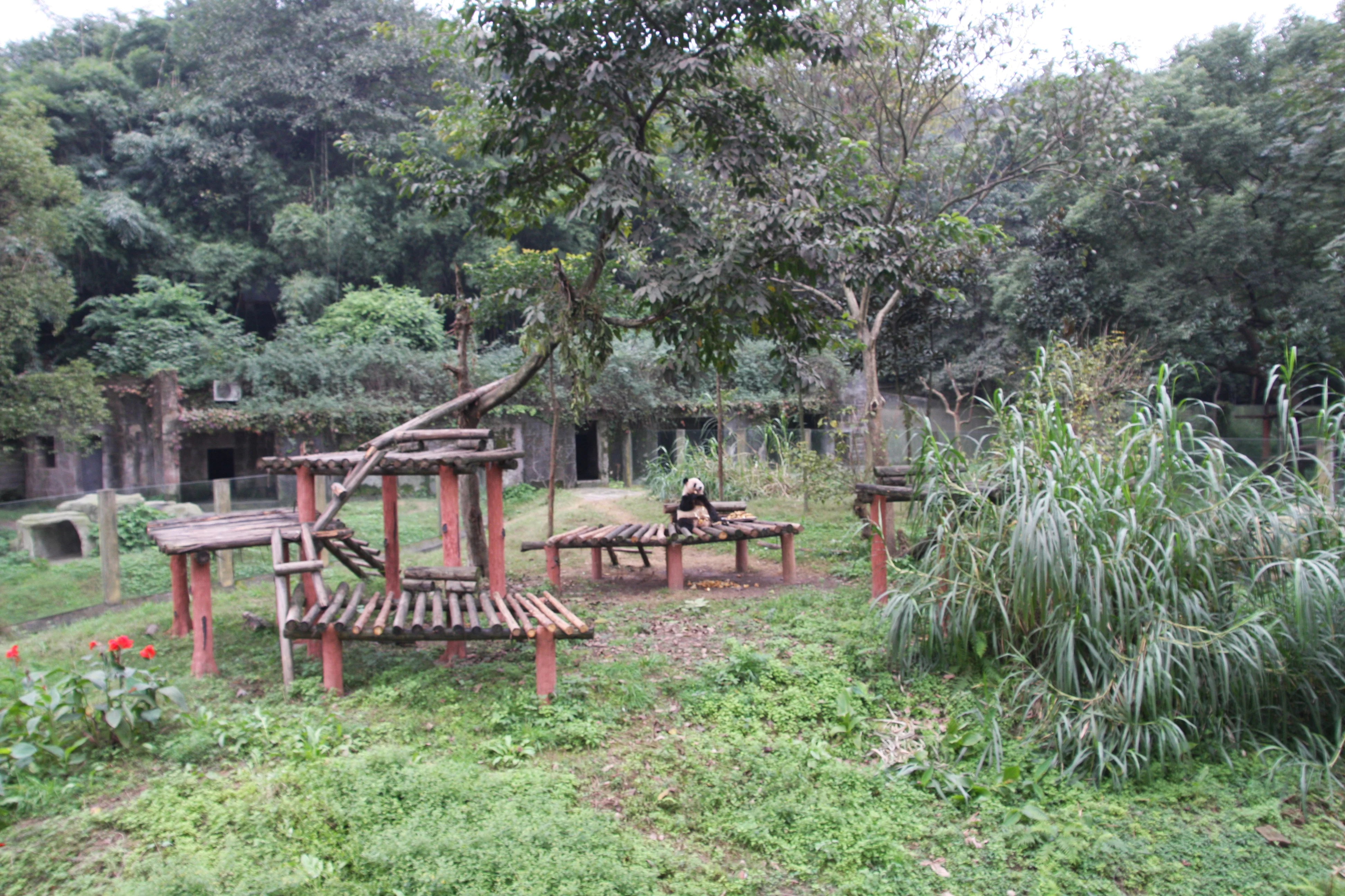 Chongqing Zoo