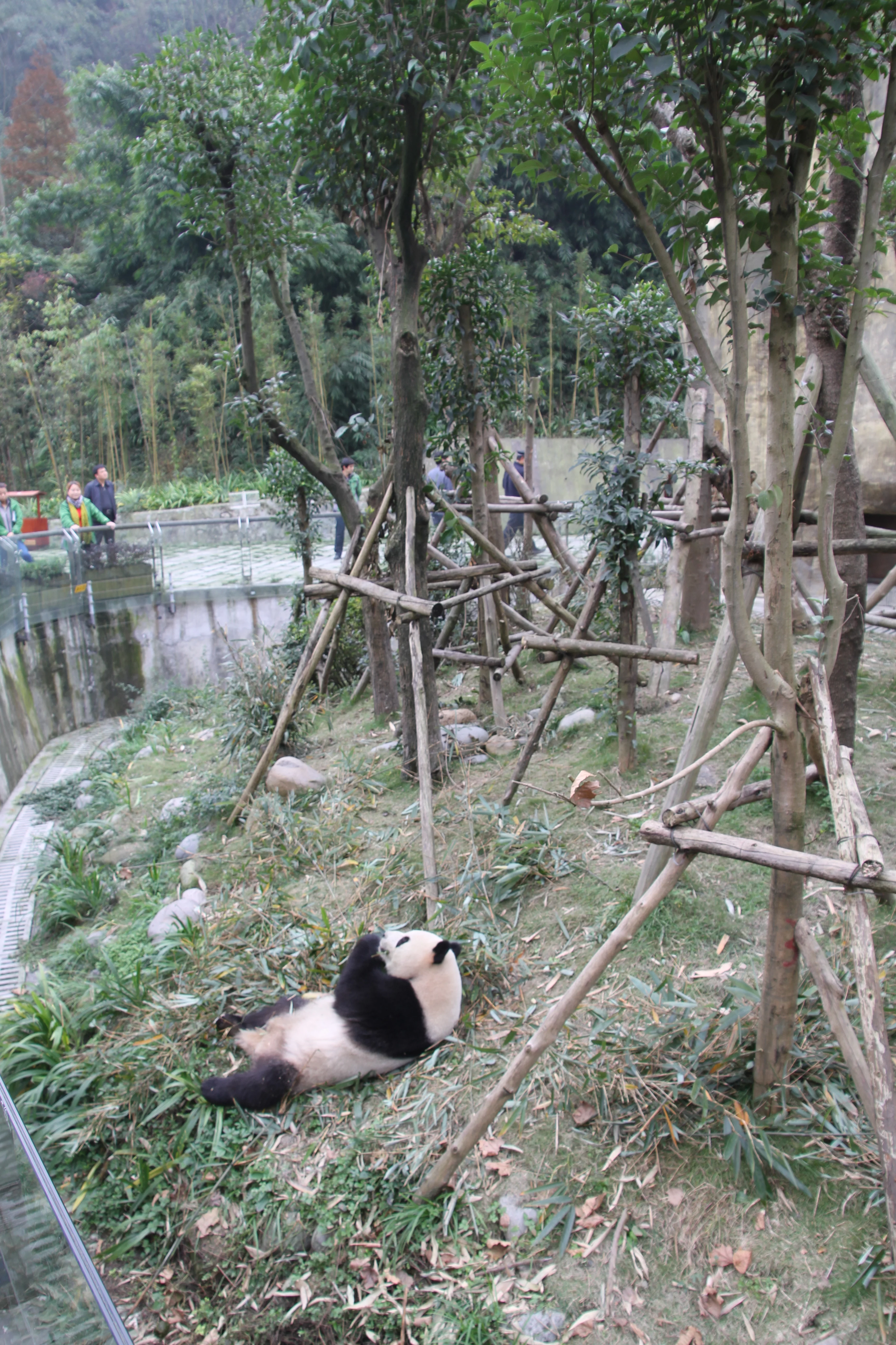 Chengdu Field Research Centre for Giant Pandas of CRBGPB
