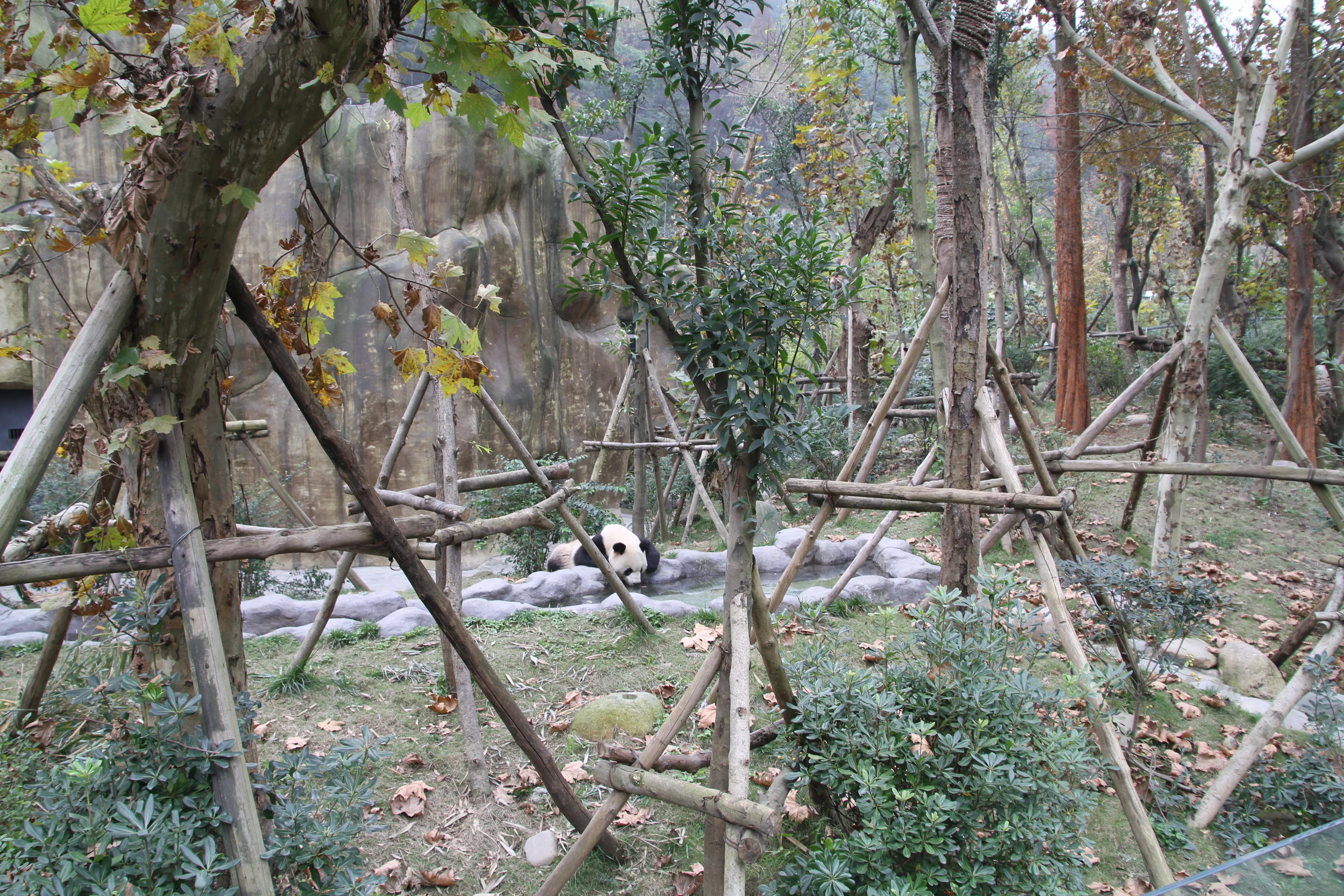 Chengdu Field Research Centre for Giant Pandas of CRBGPB
