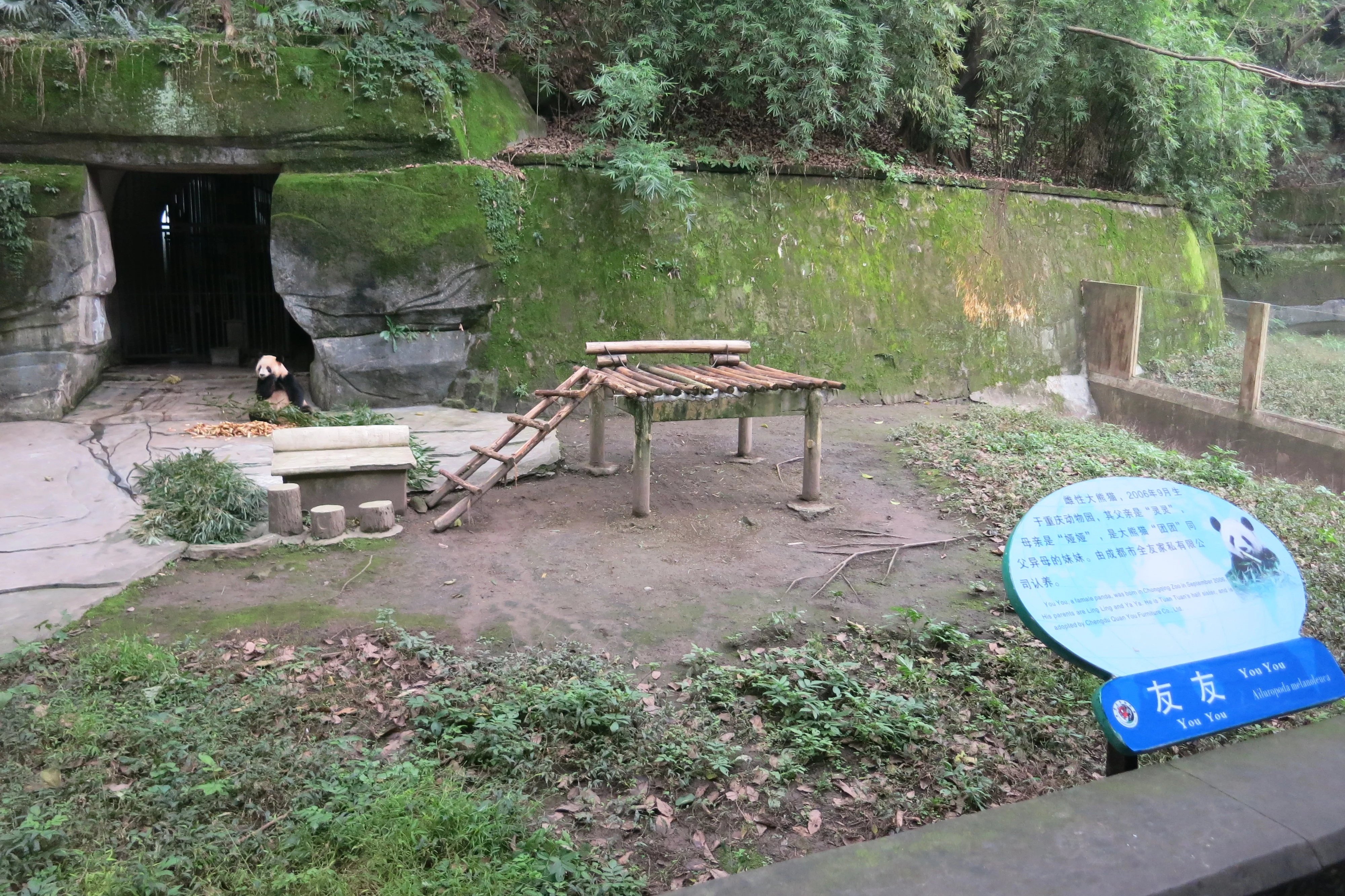 Chongqing Zoo
