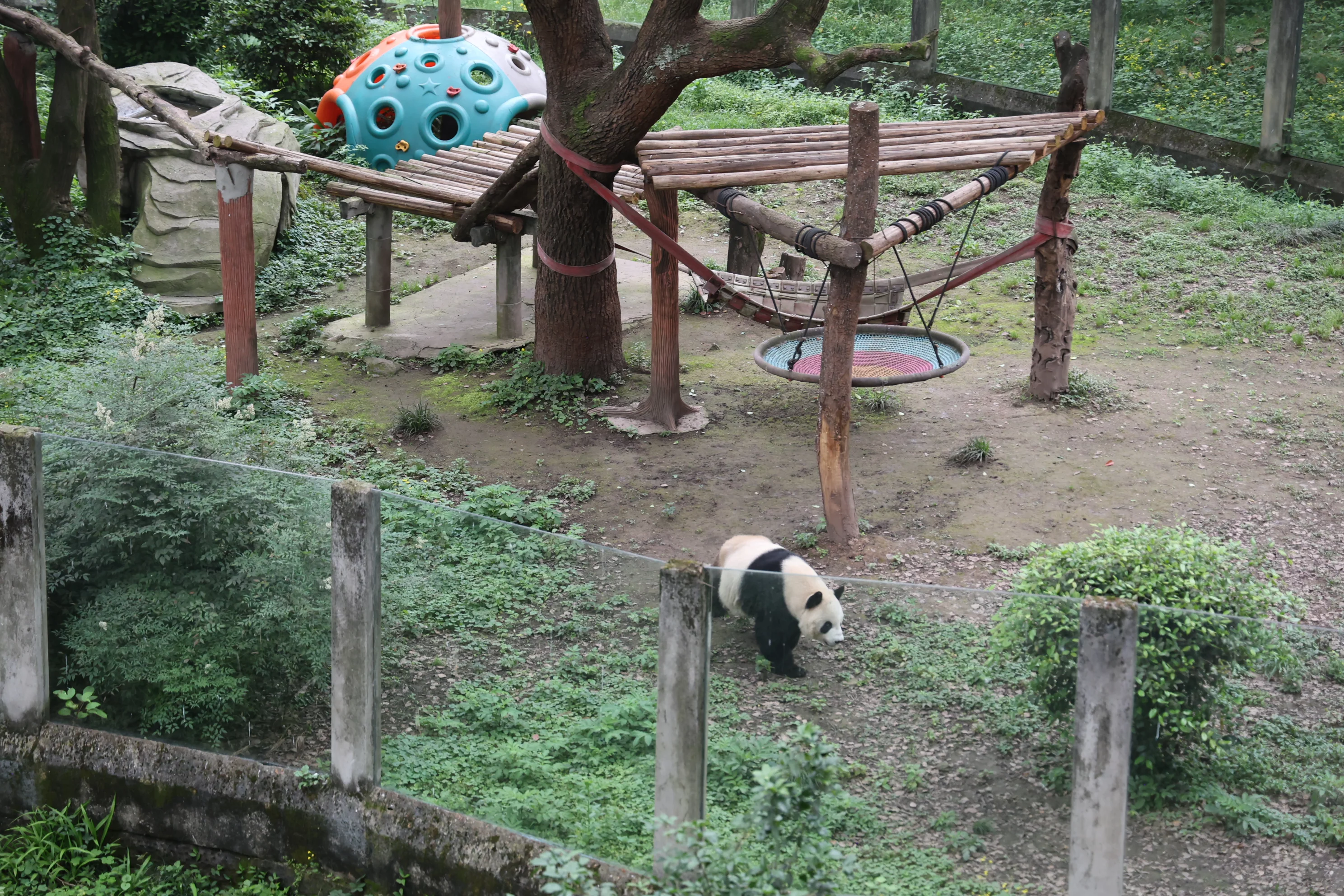 Chongqing Zoo
