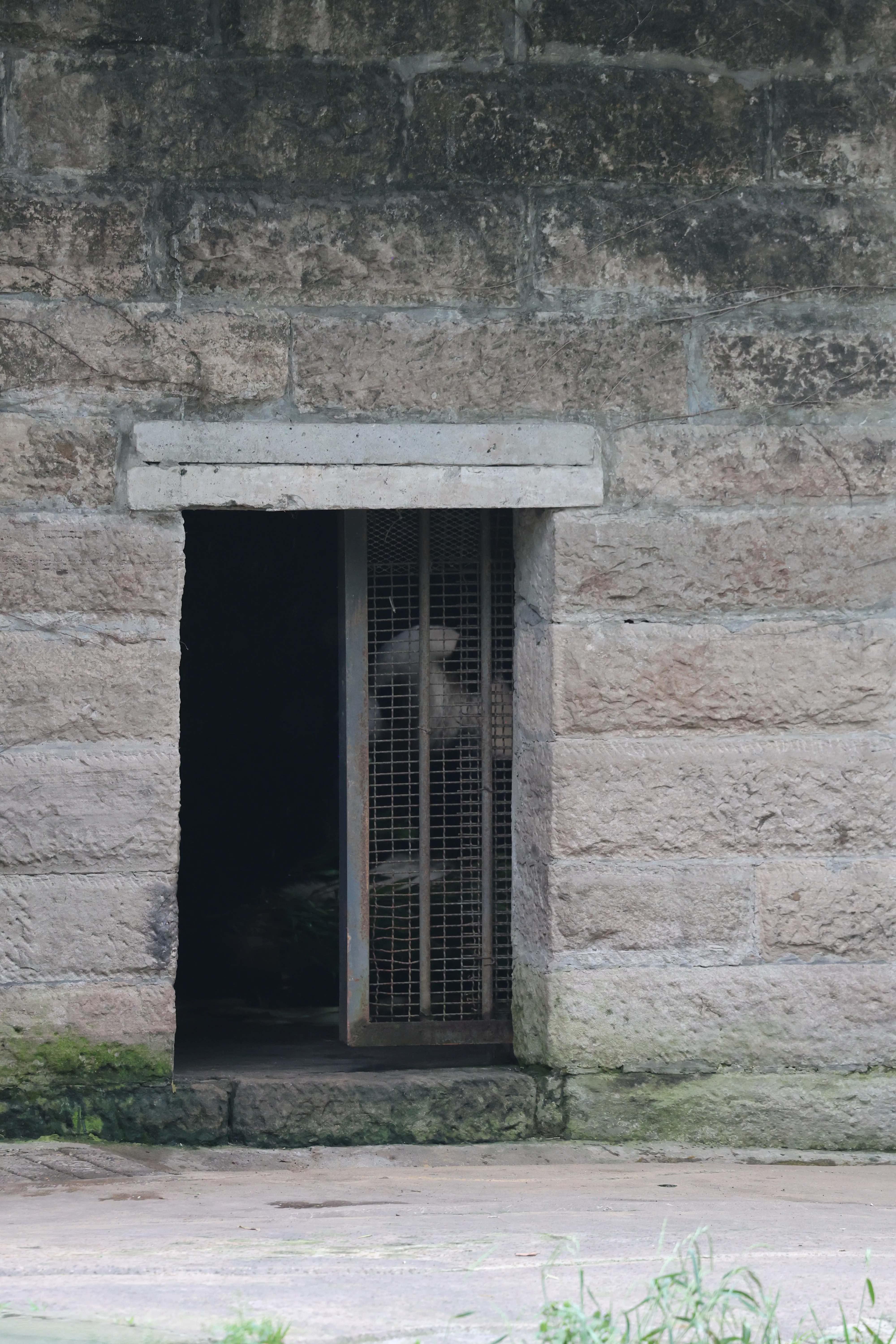 Chongqing Zoo