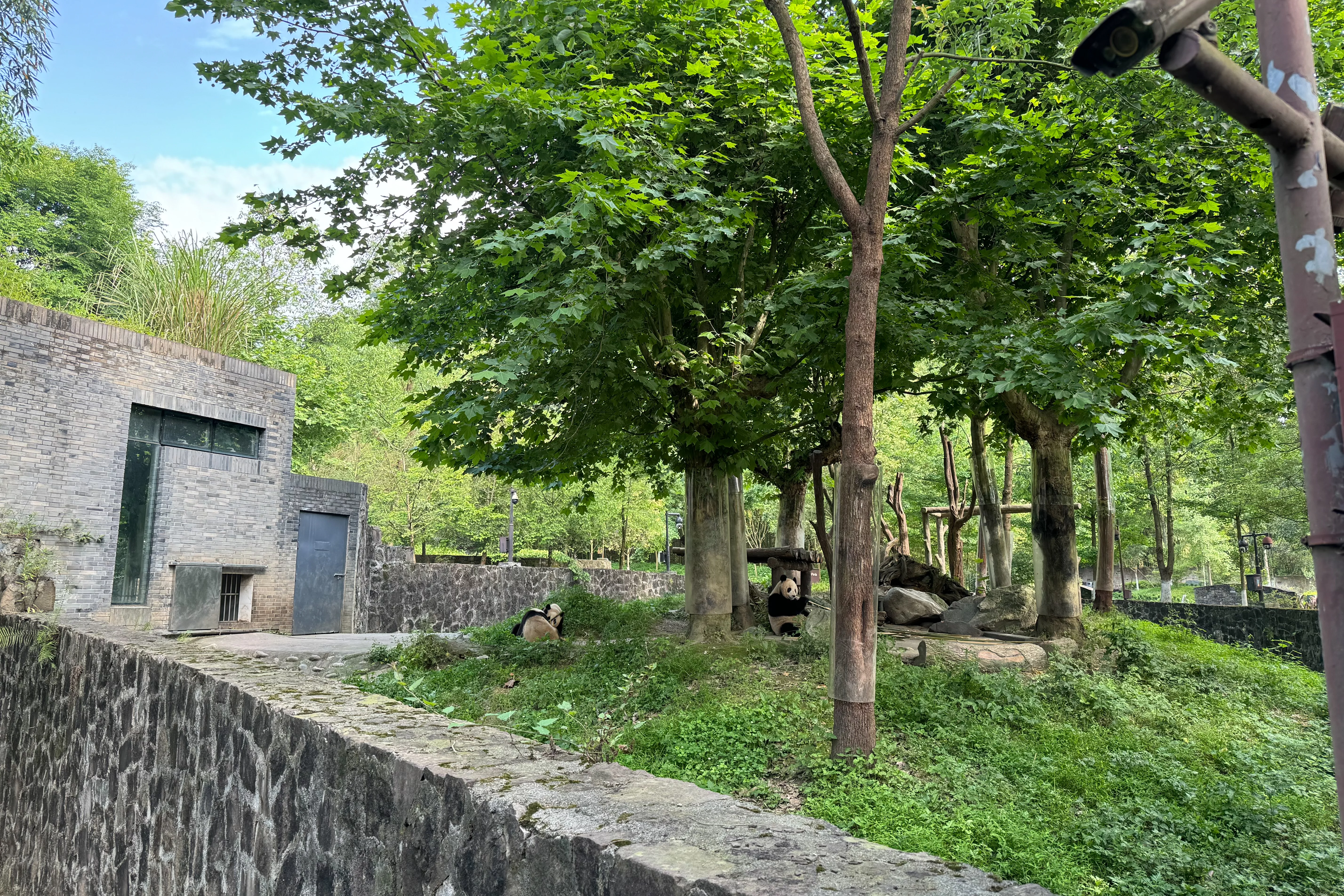 Du Jiang Yan Base of CCRCGP
