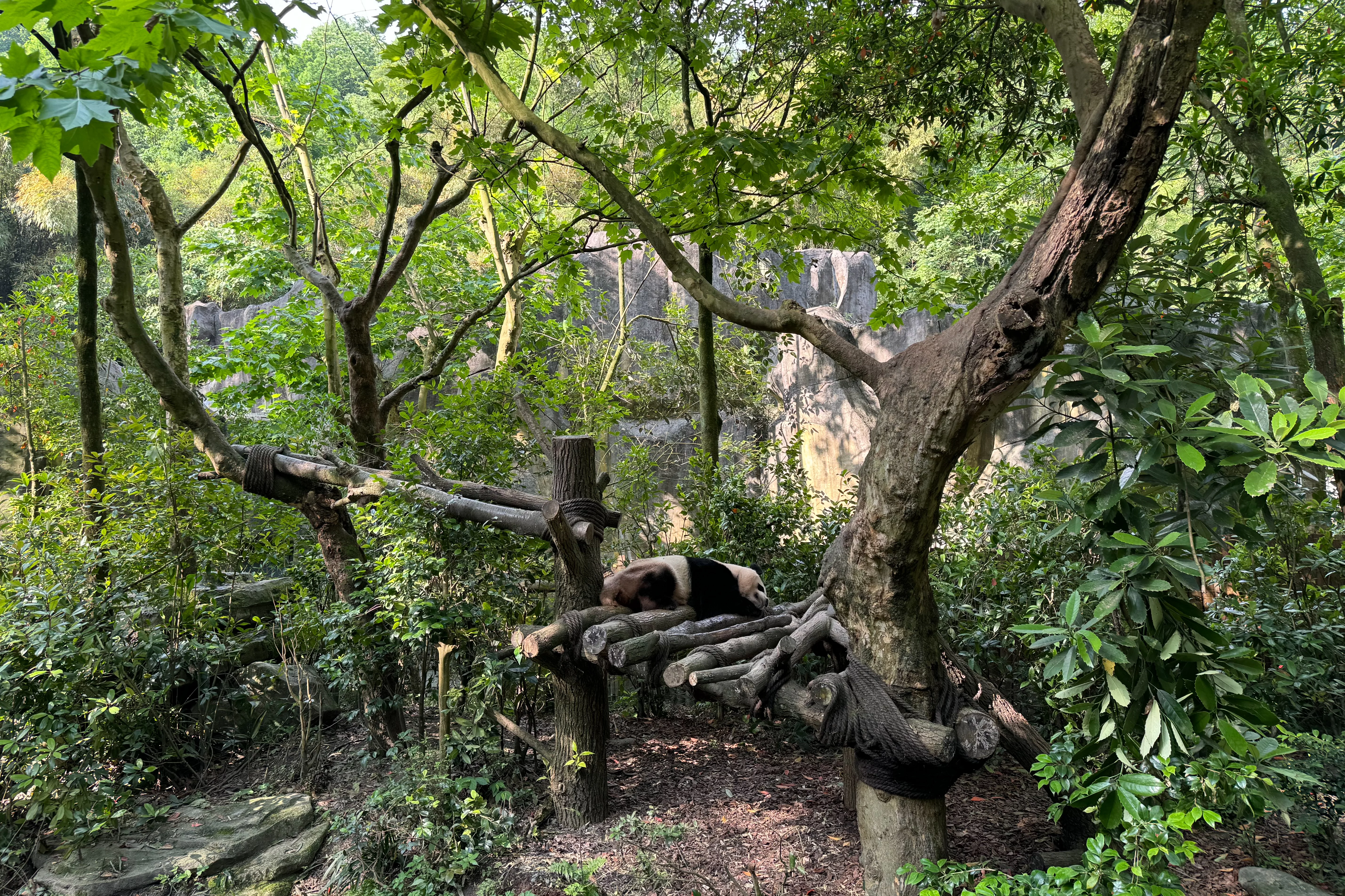 Chengdu Field Research Centre for Giant Pandas of CRBGPB