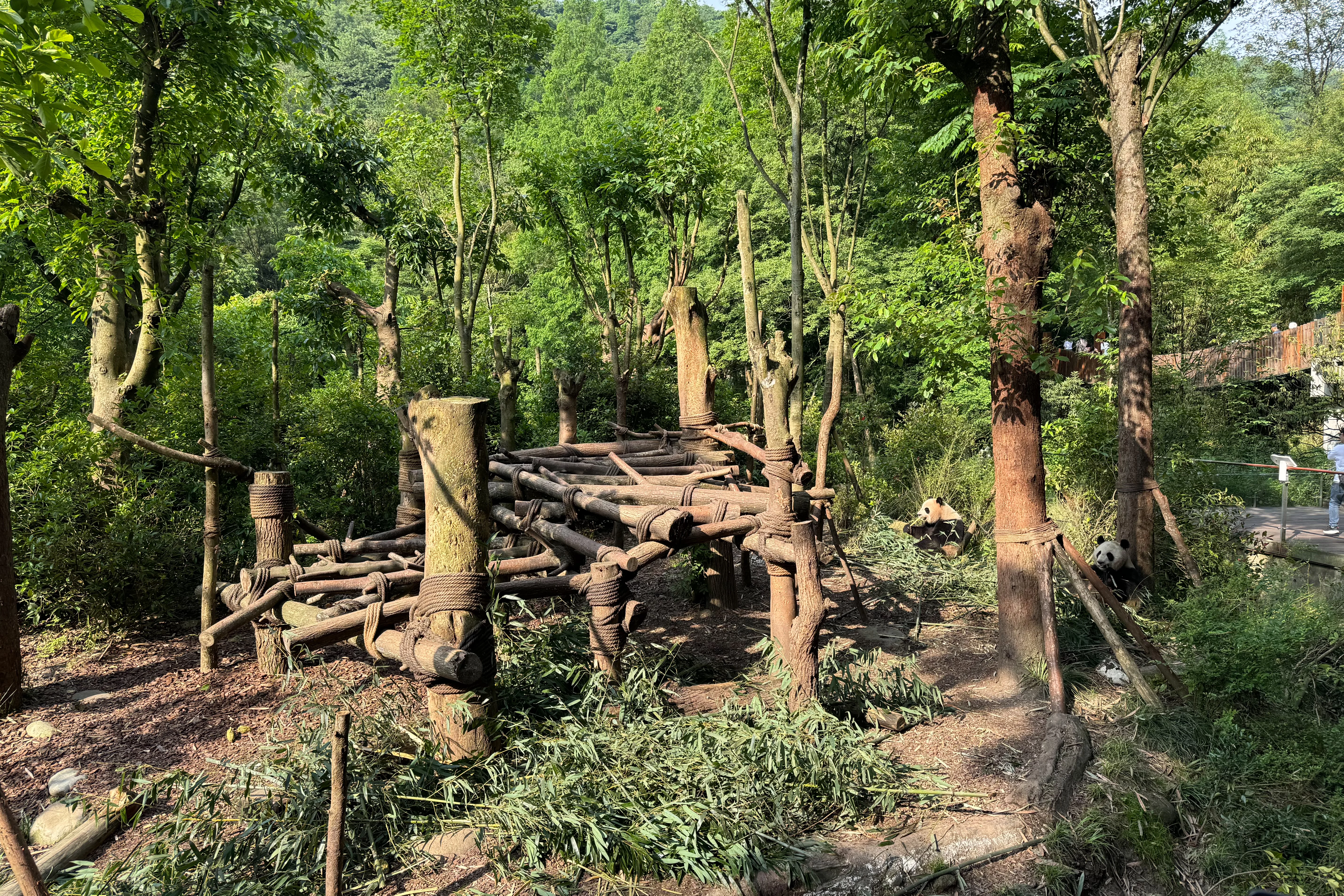 Chengdu Field Research Centre for Giant Pandas of CRBGPB