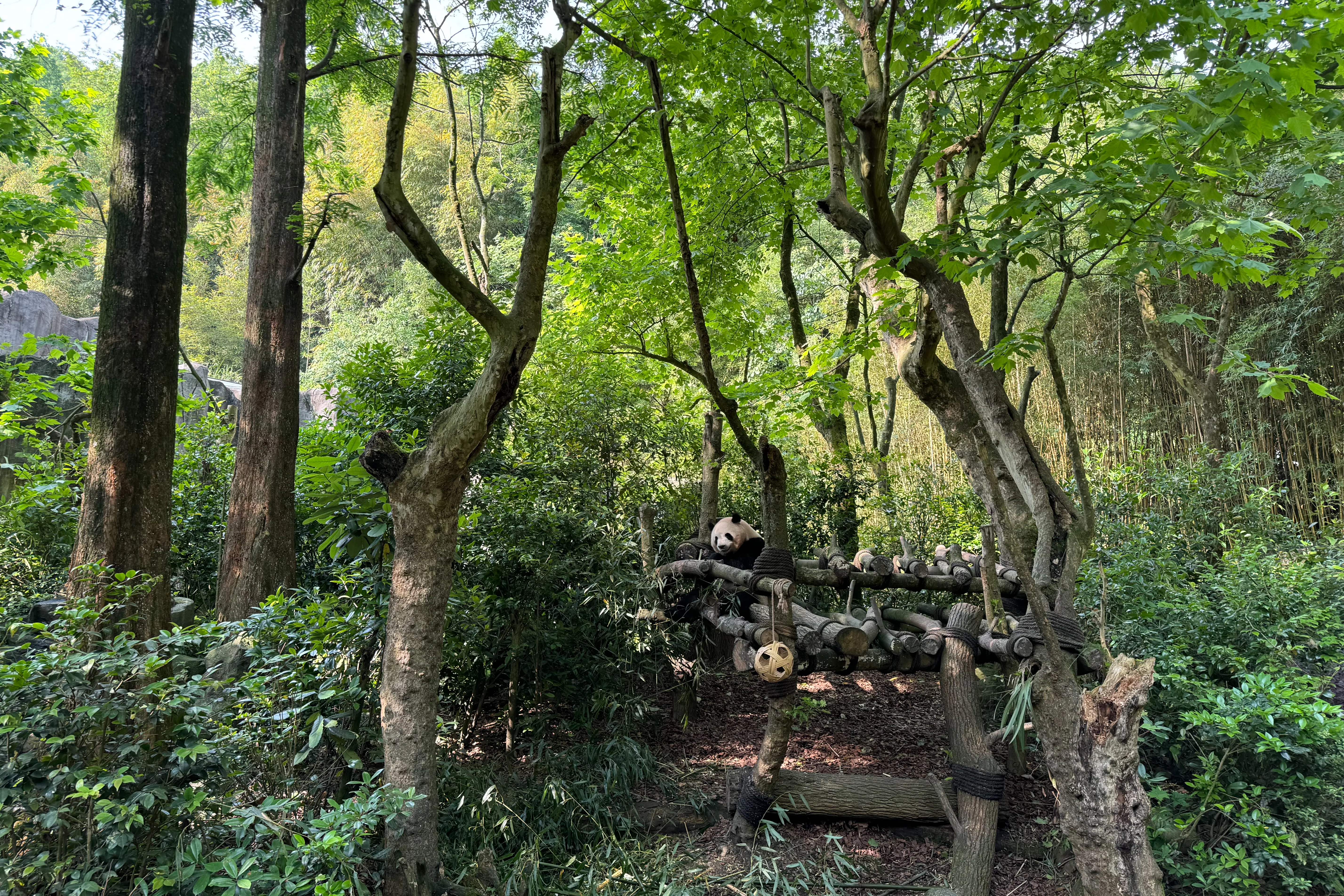 Chengdu Field Research Centre for Giant Pandas of CRBGPB