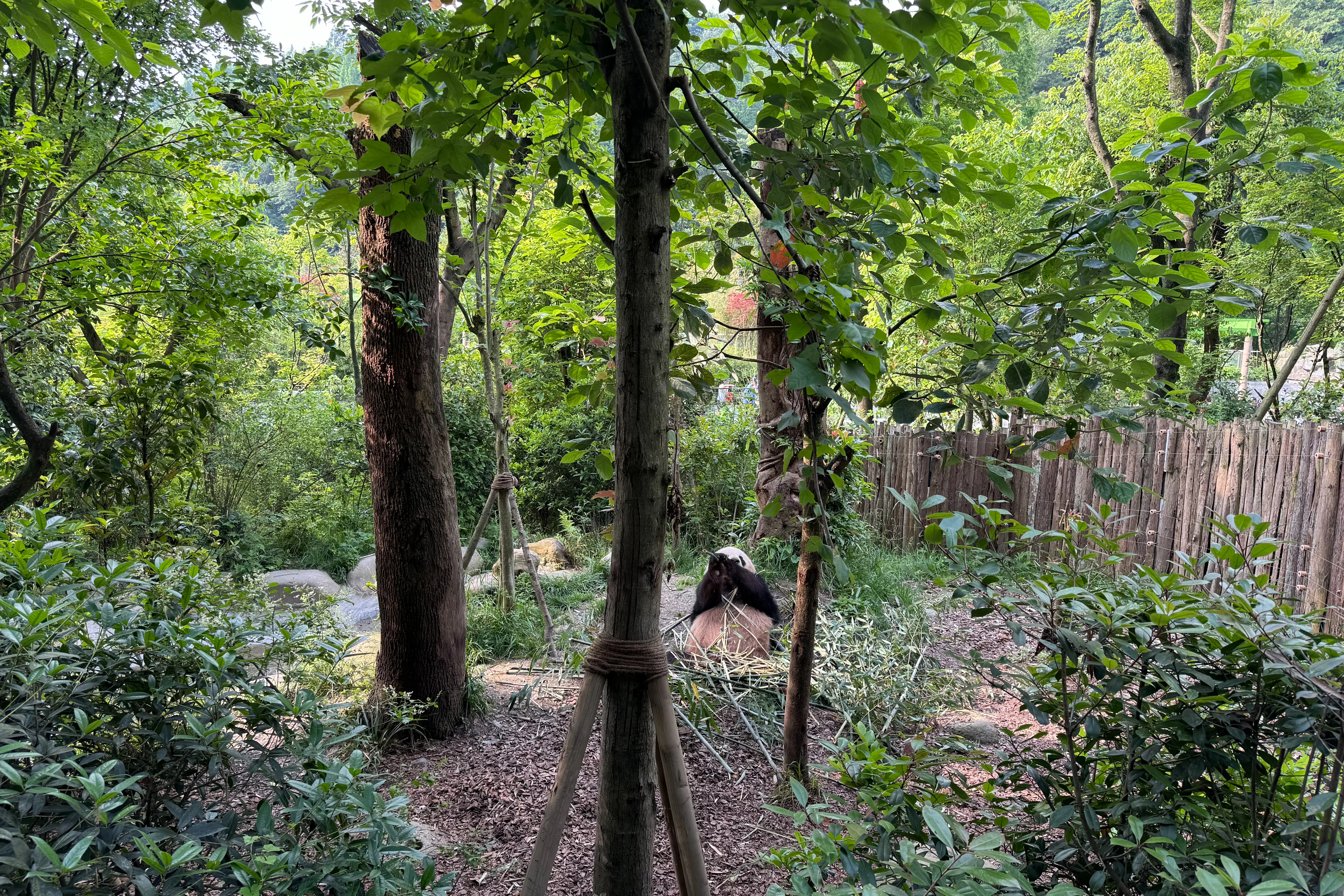 Chengdu Field Research Centre for Giant Pandas of CRBGPB