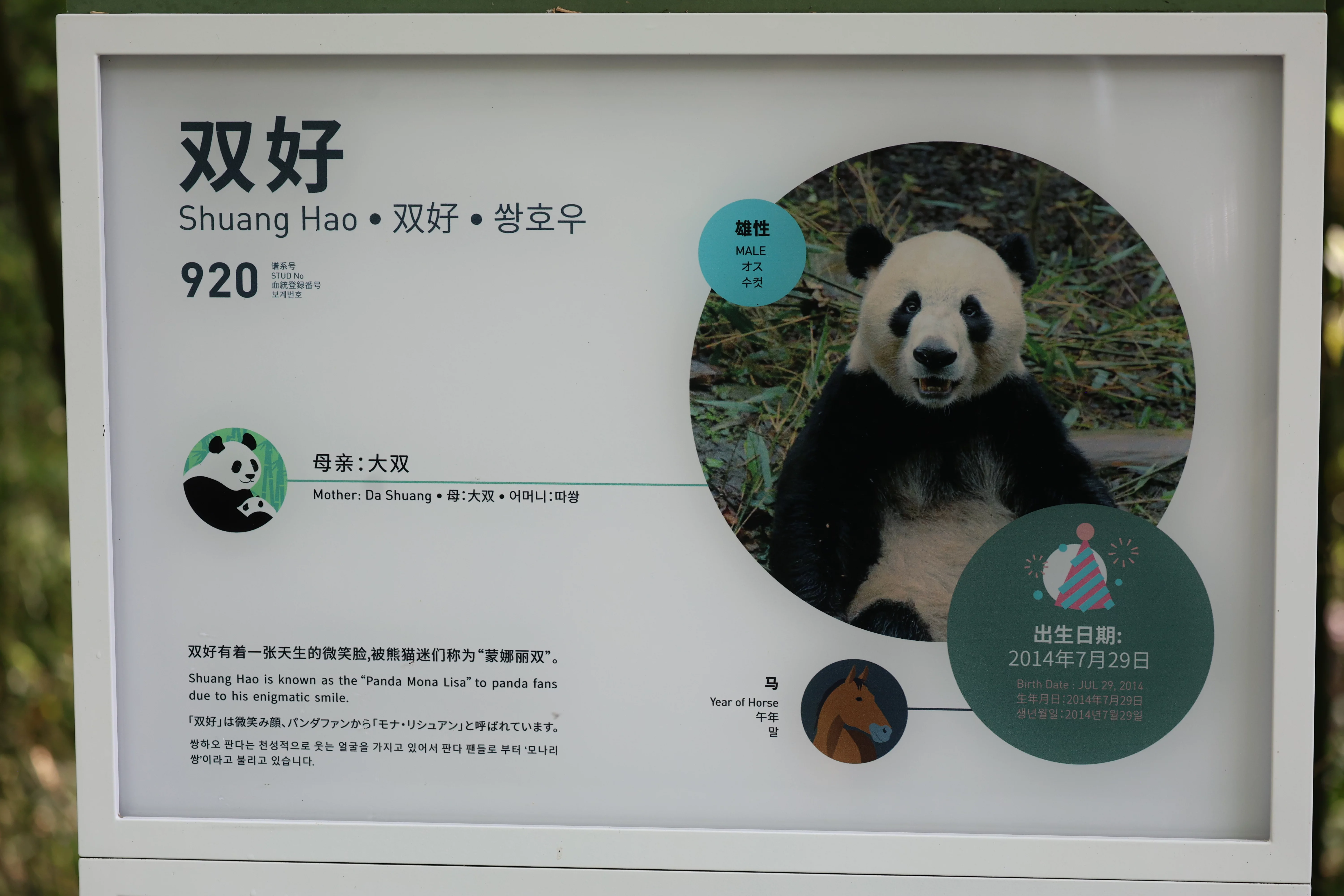 Chengdu Field Research Centre for Giant Pandas of CRBGPB