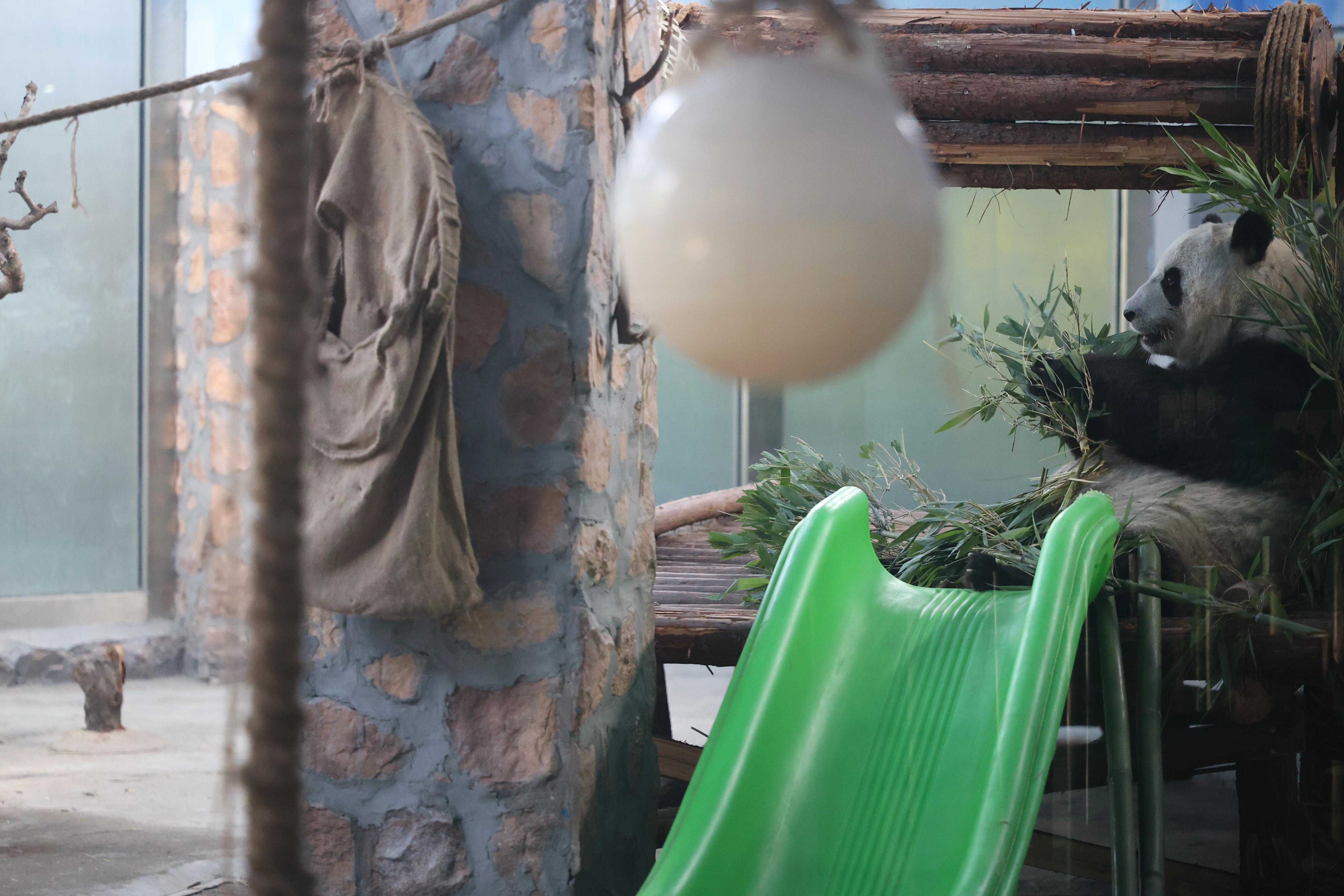 Tangshan Zoo