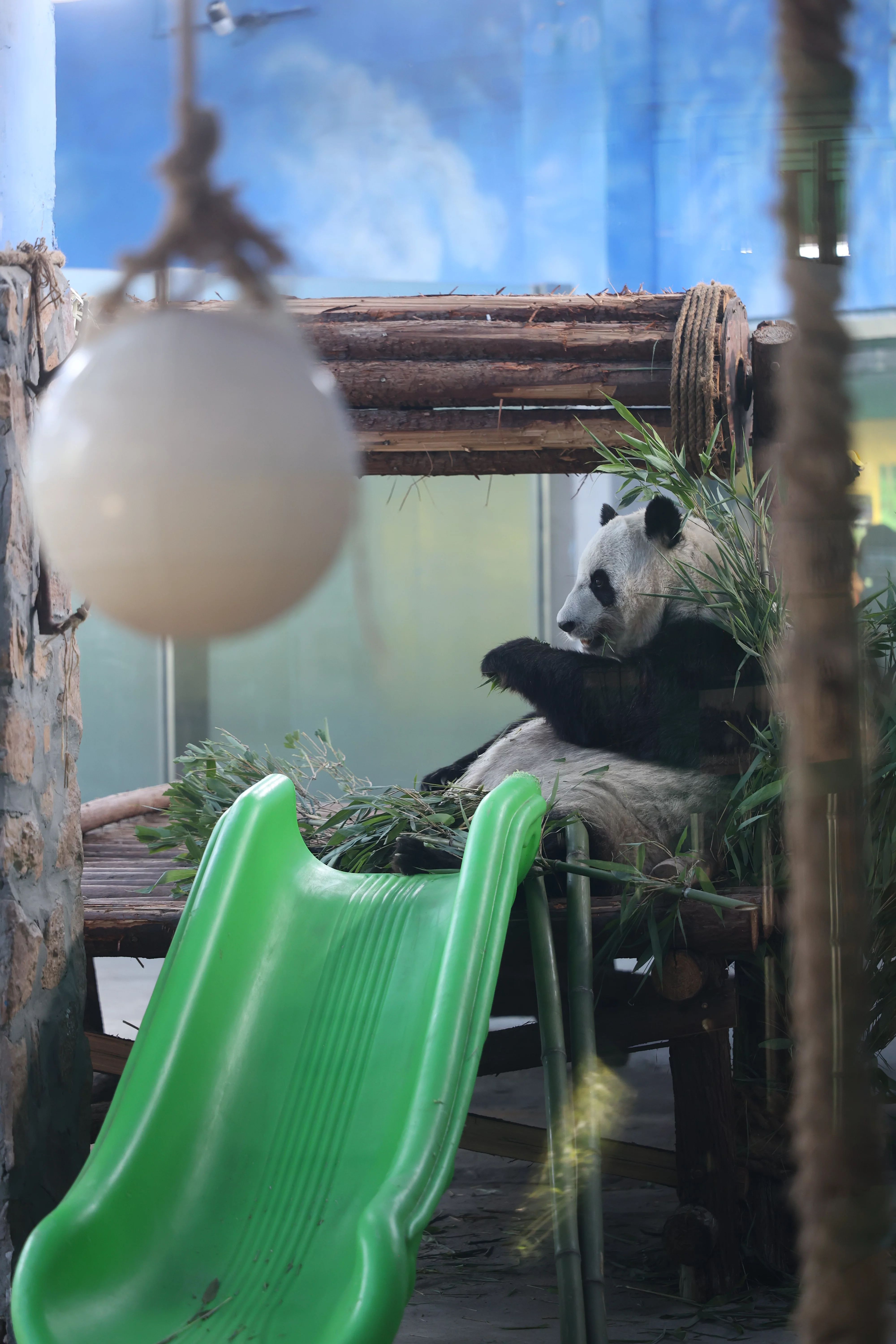 Tangshan Zoo