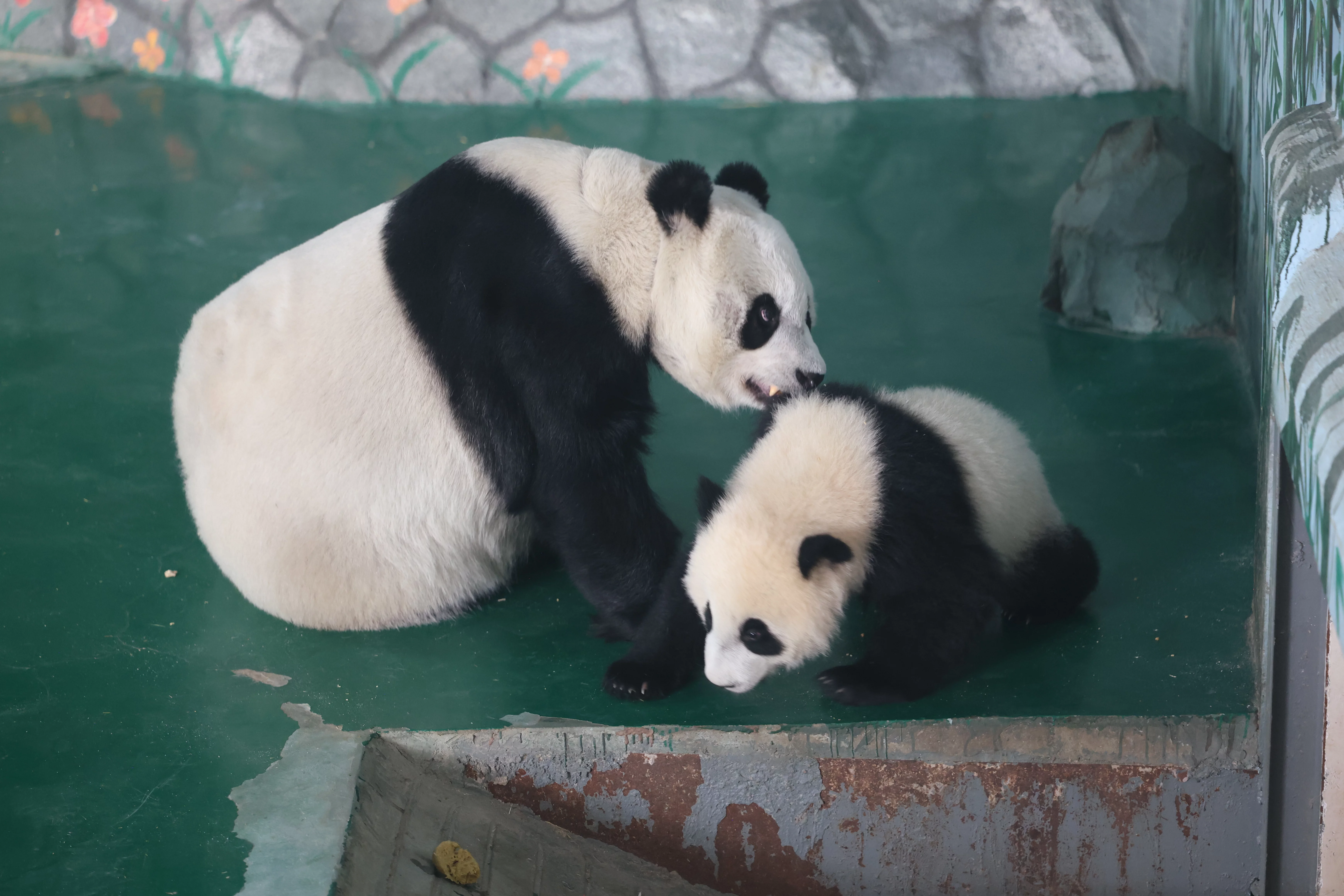 Lanzhou Zoo