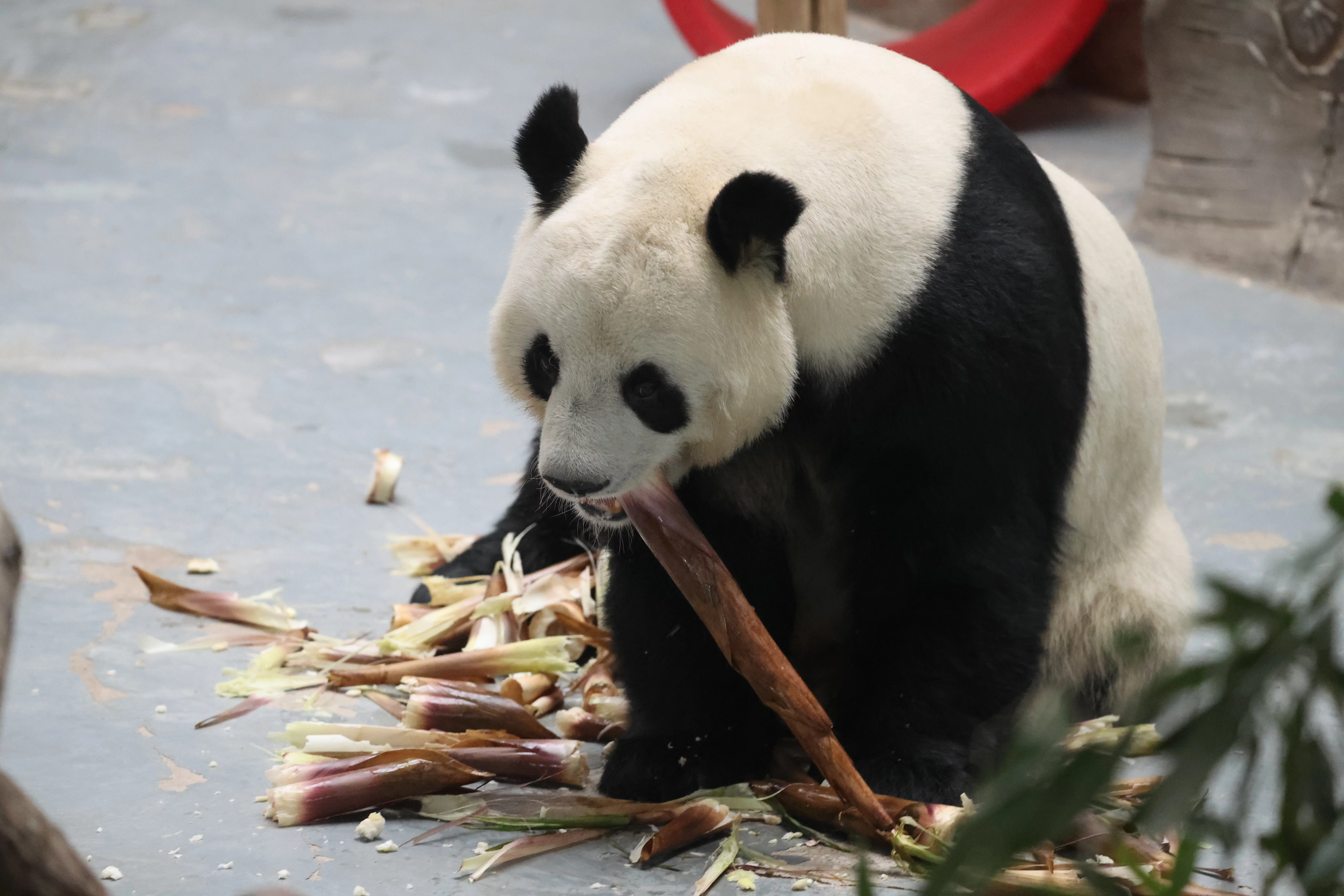 Xining Wildlife Park