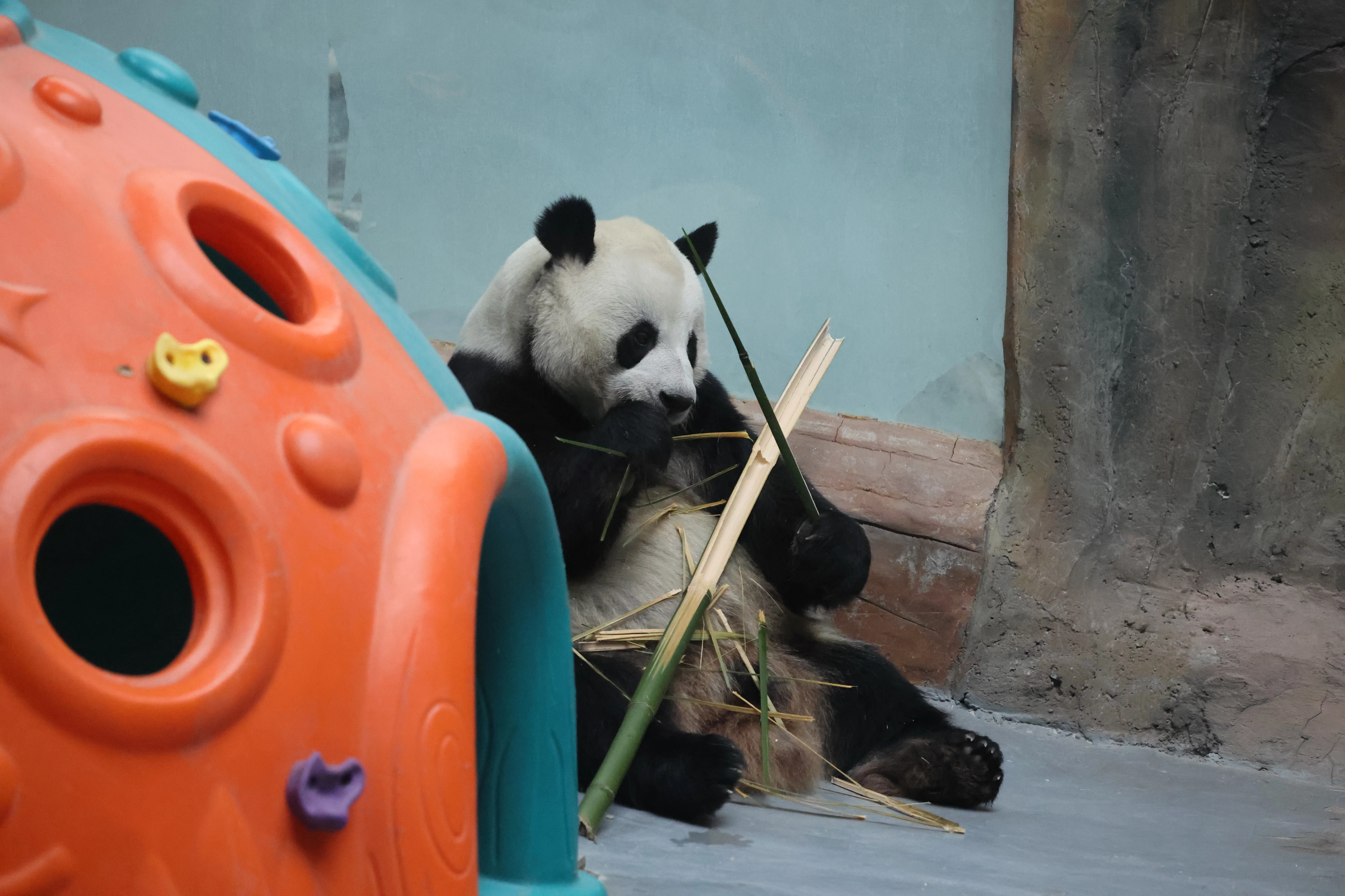 Xining Wildlife Park