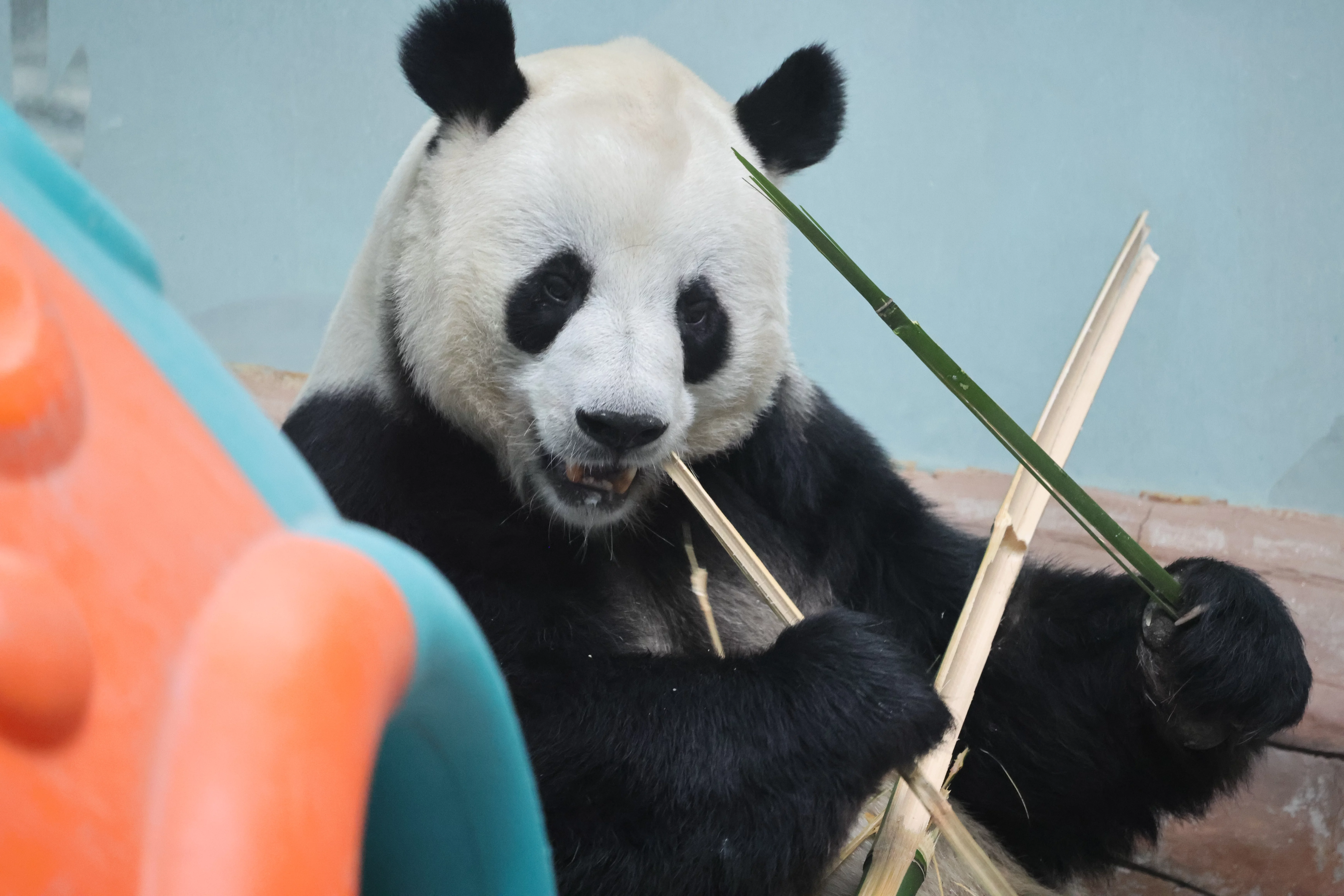 Xining Wildlife Park