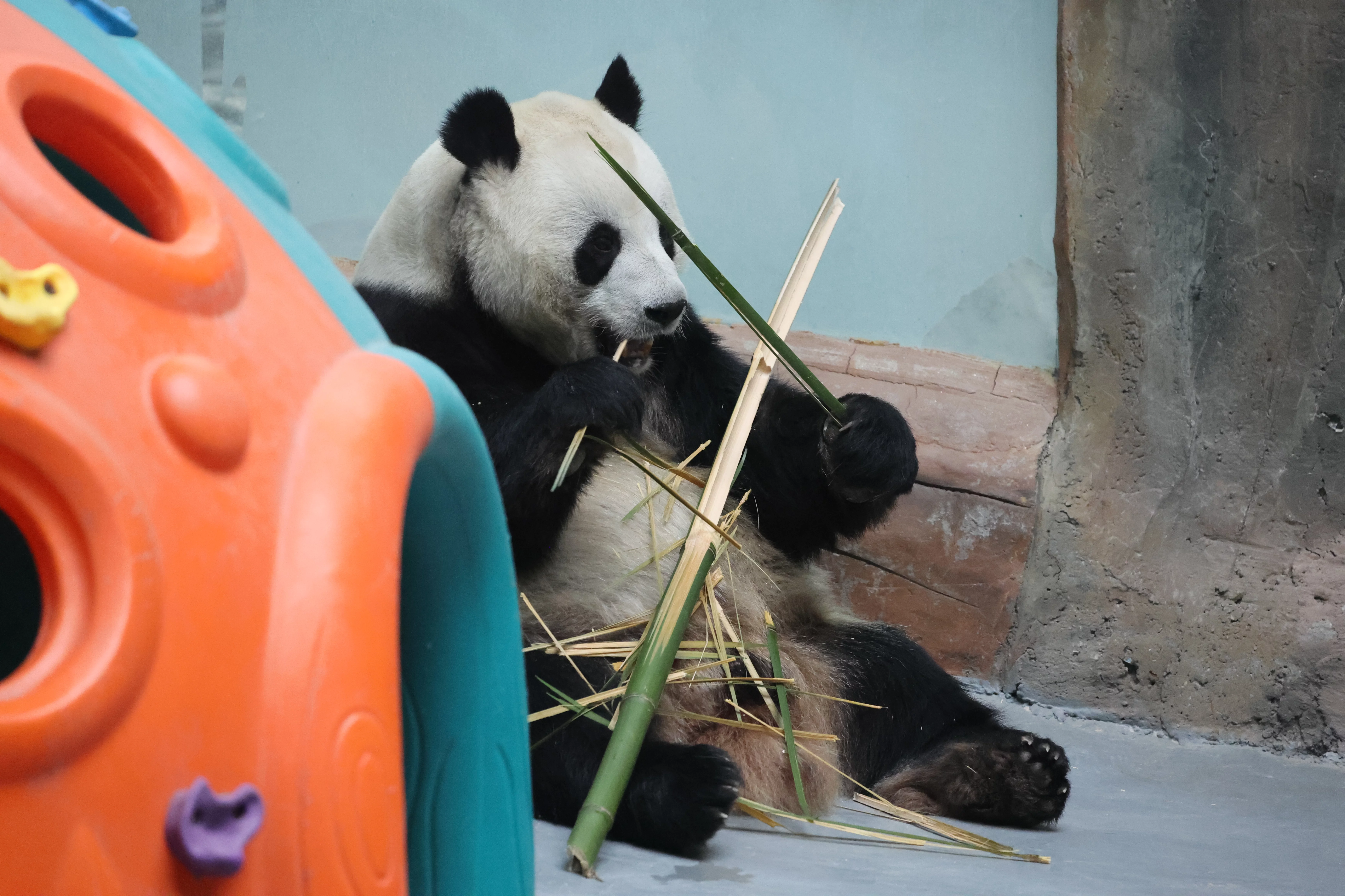 Xining Wildlife Park