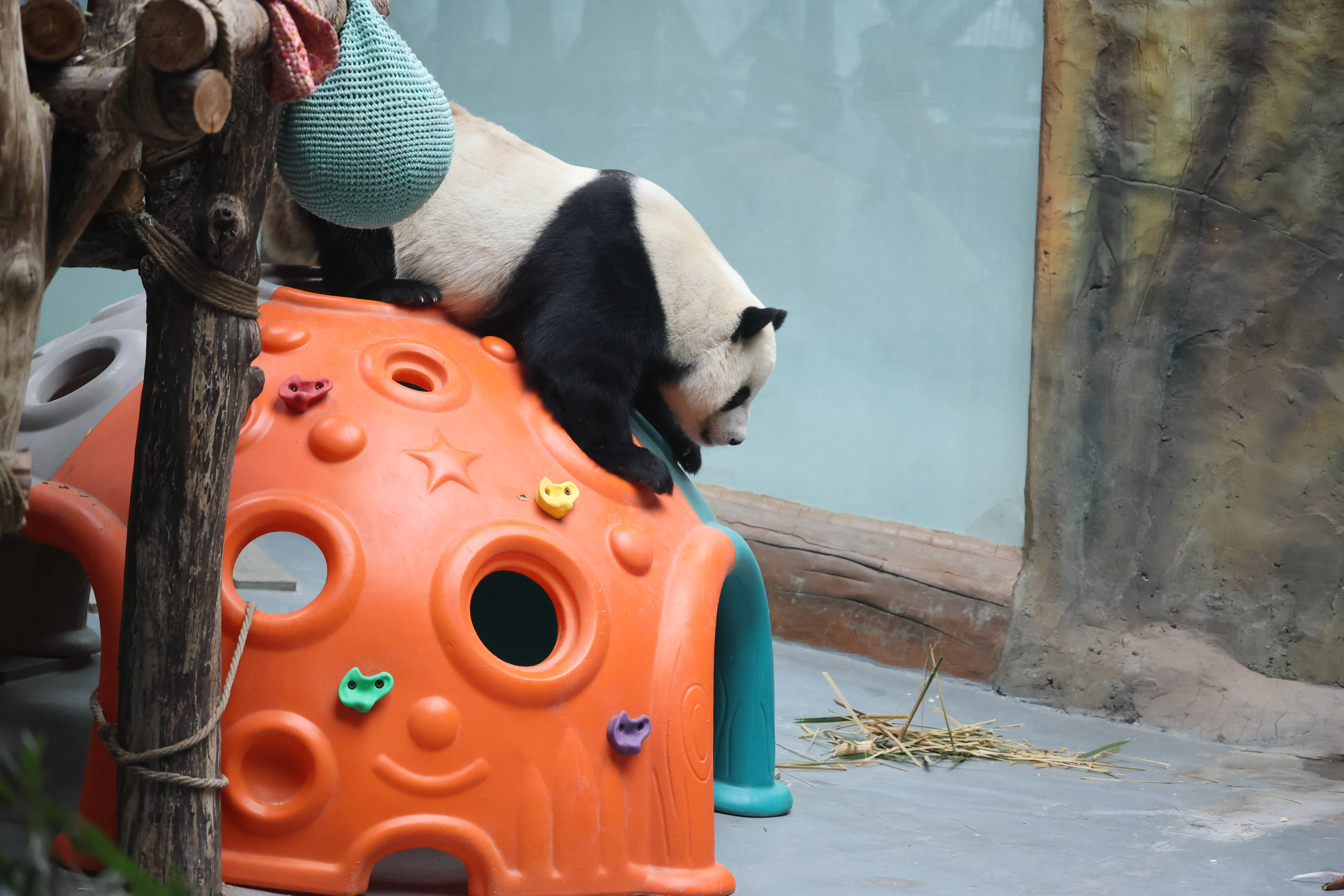 Xining Wildlife Park