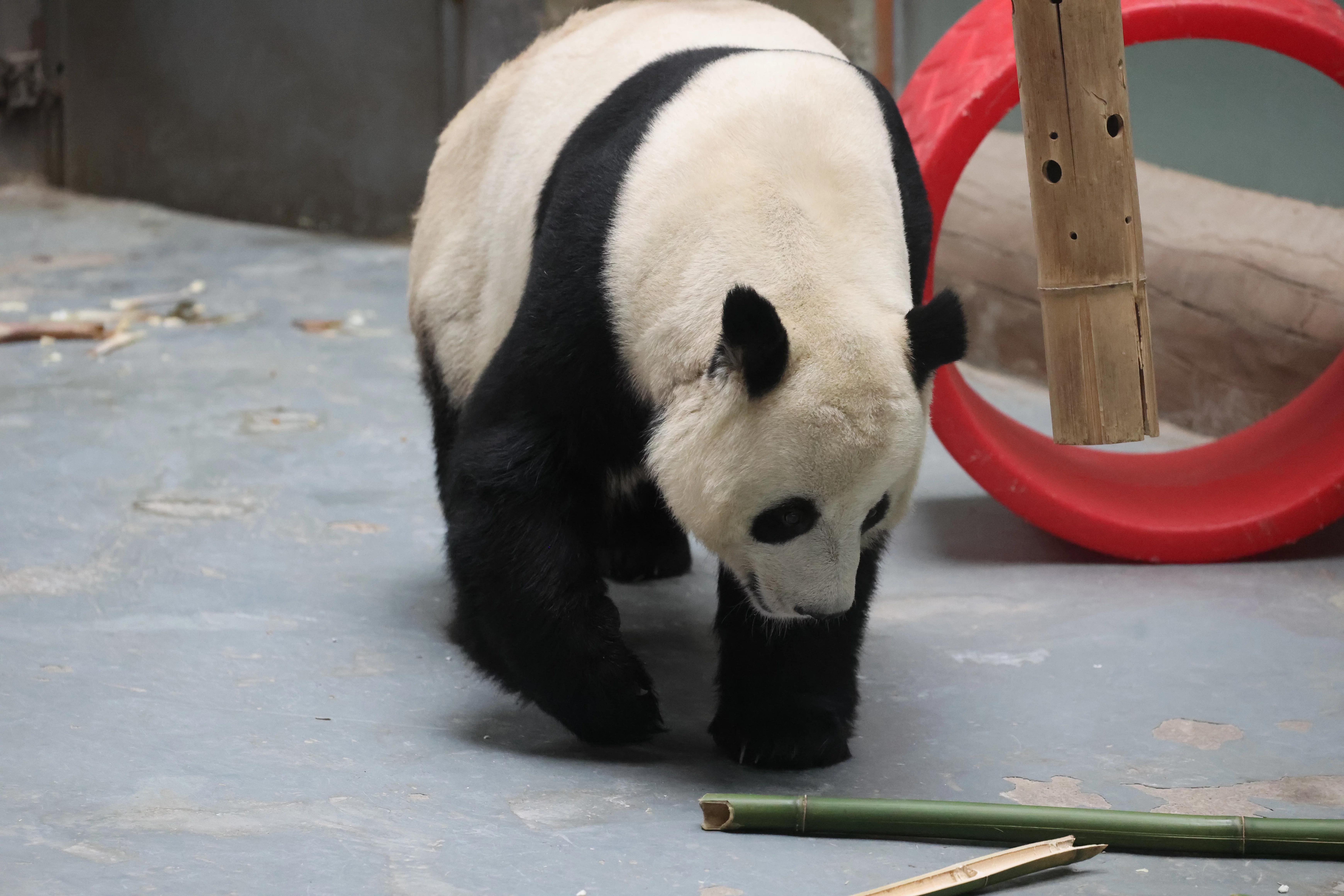 Xining Wildlife Park