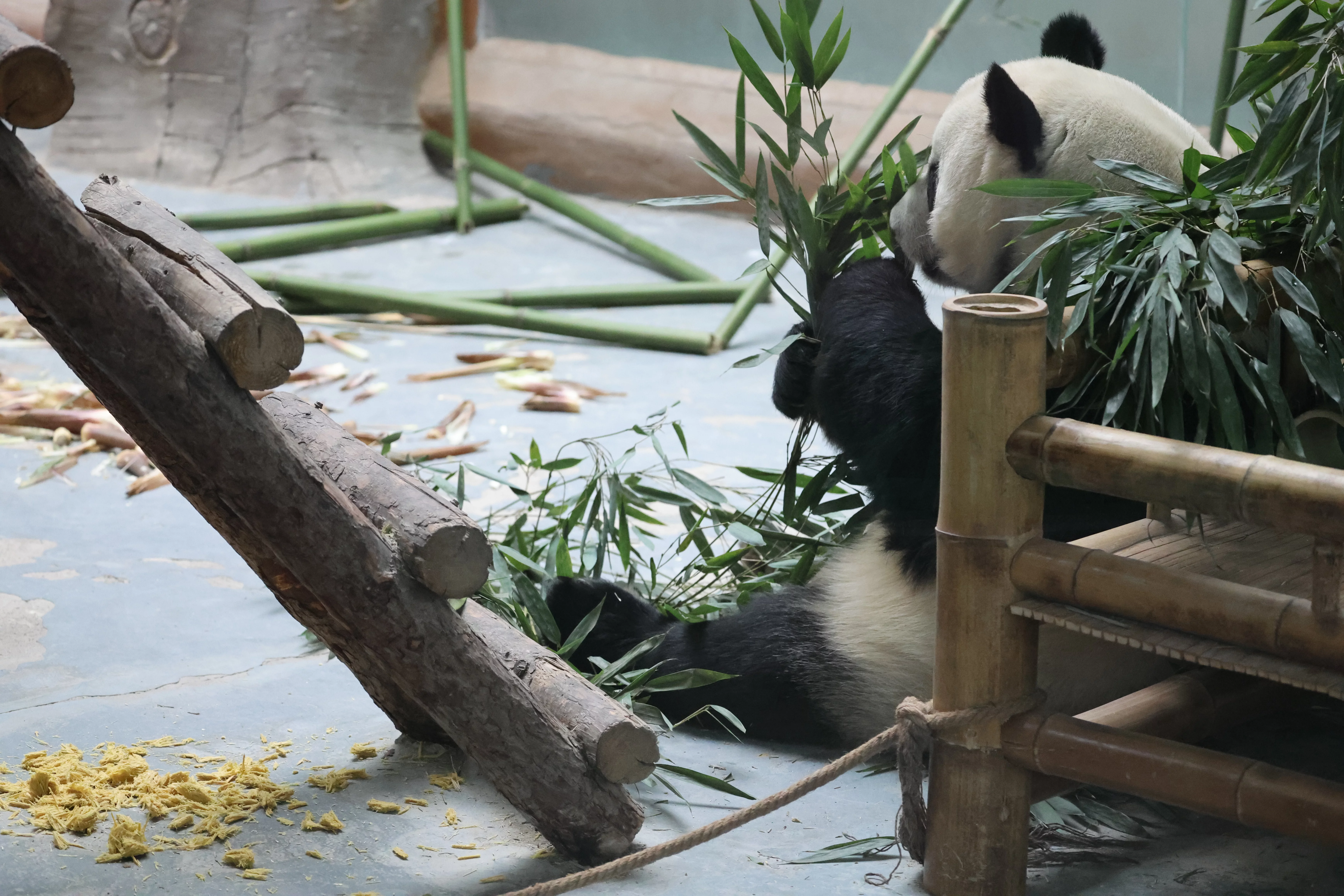 Xining Wildlife Park