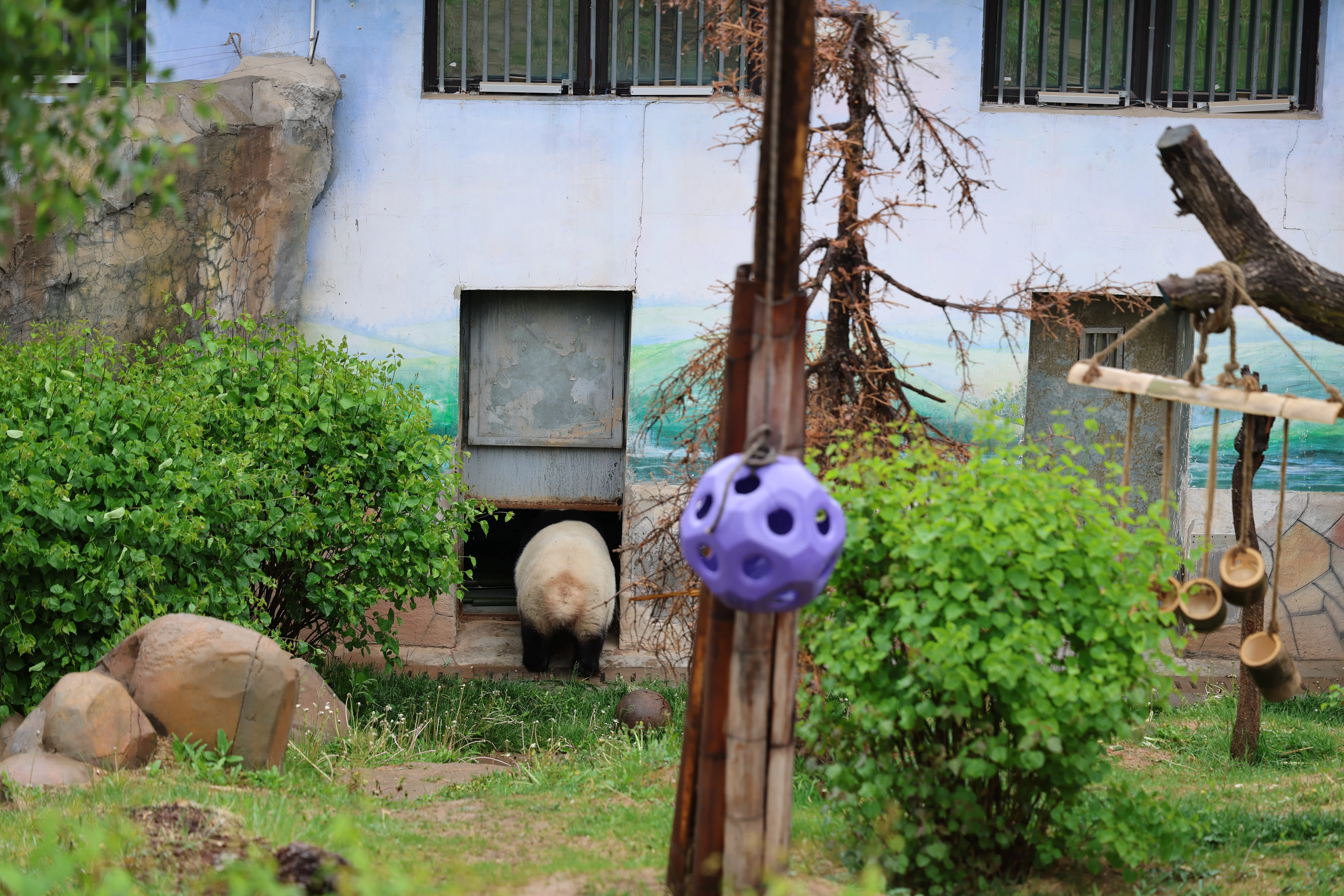 Xining Wildlife Park