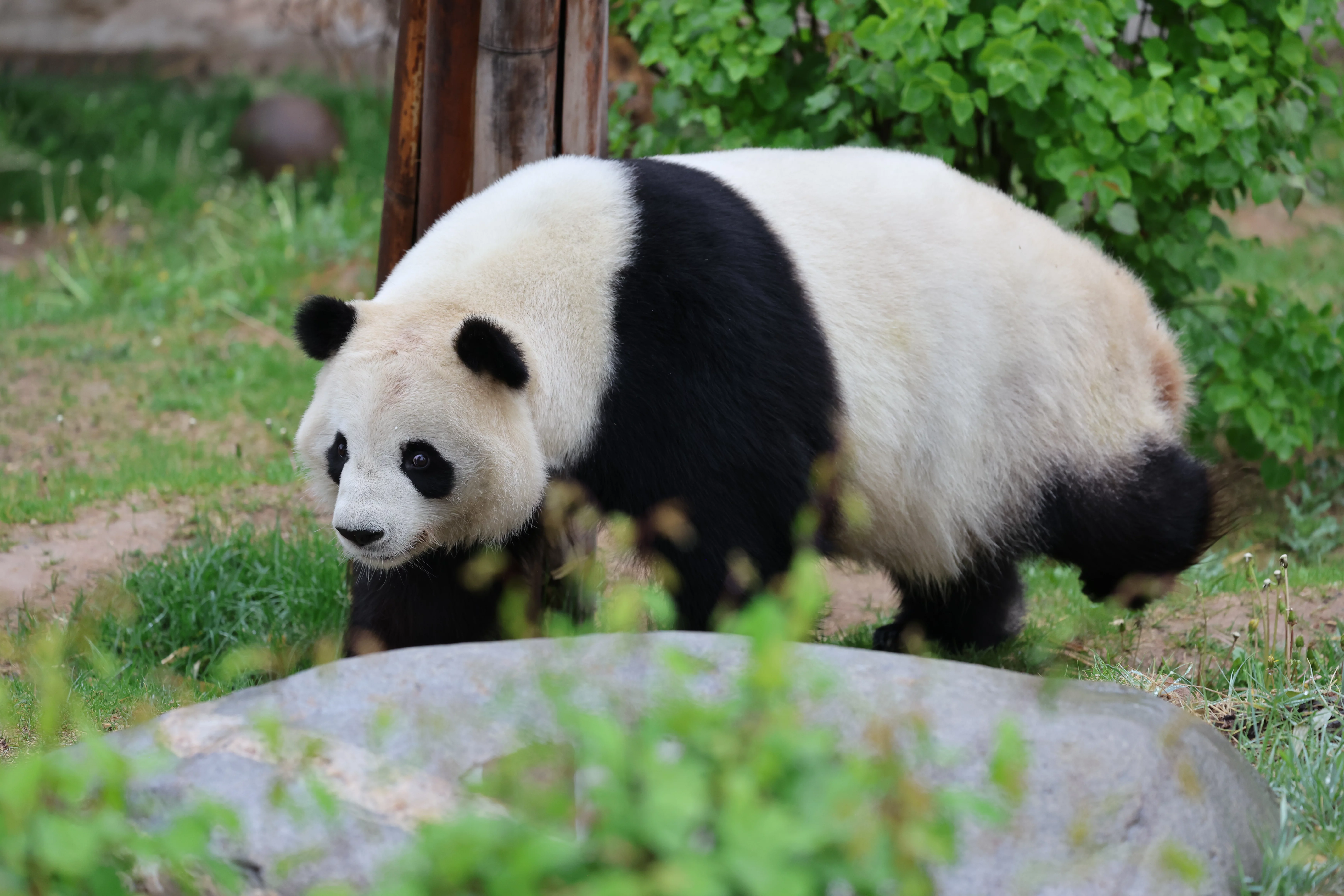 Xining Wildlife Park