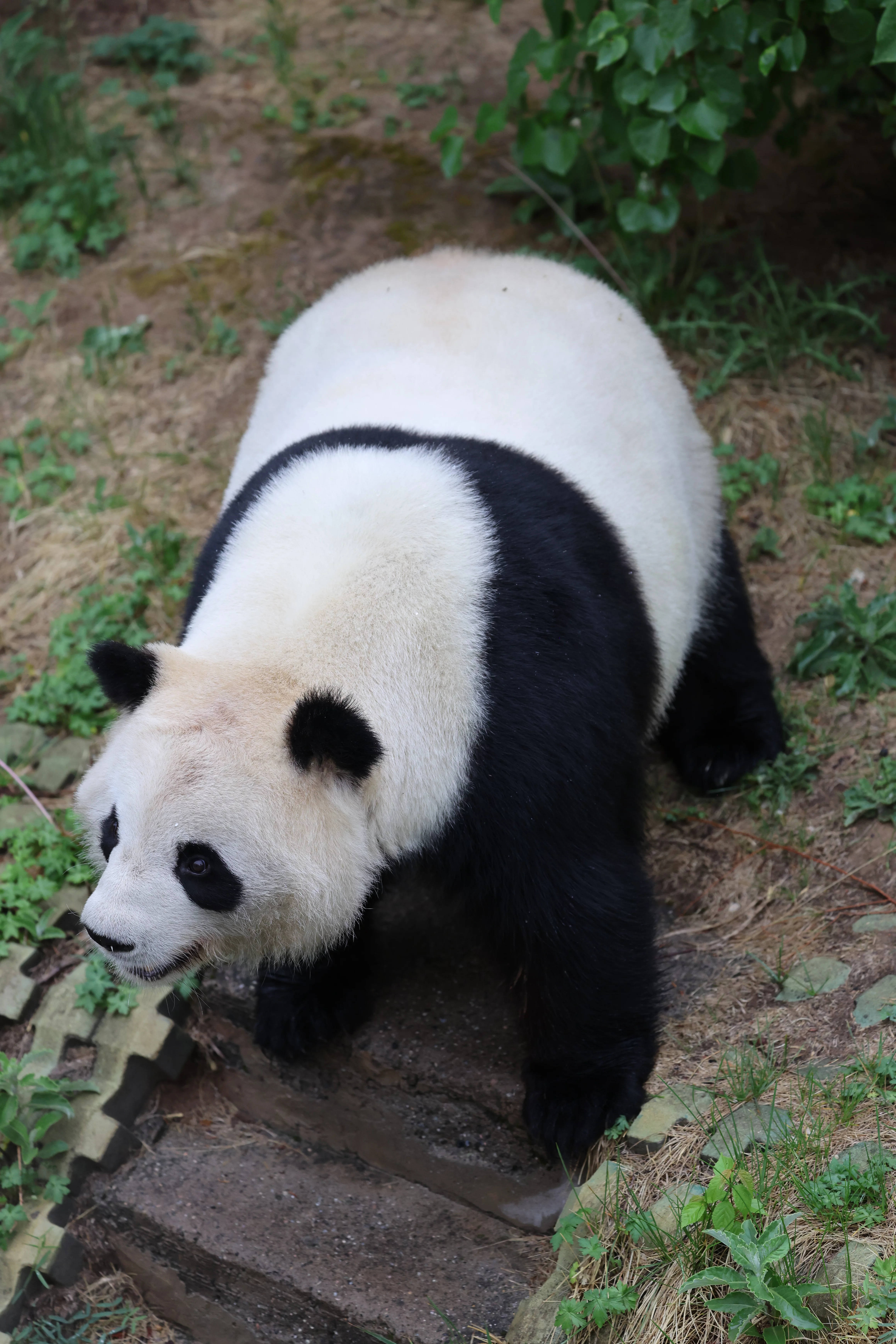 Xining Wildlife Park