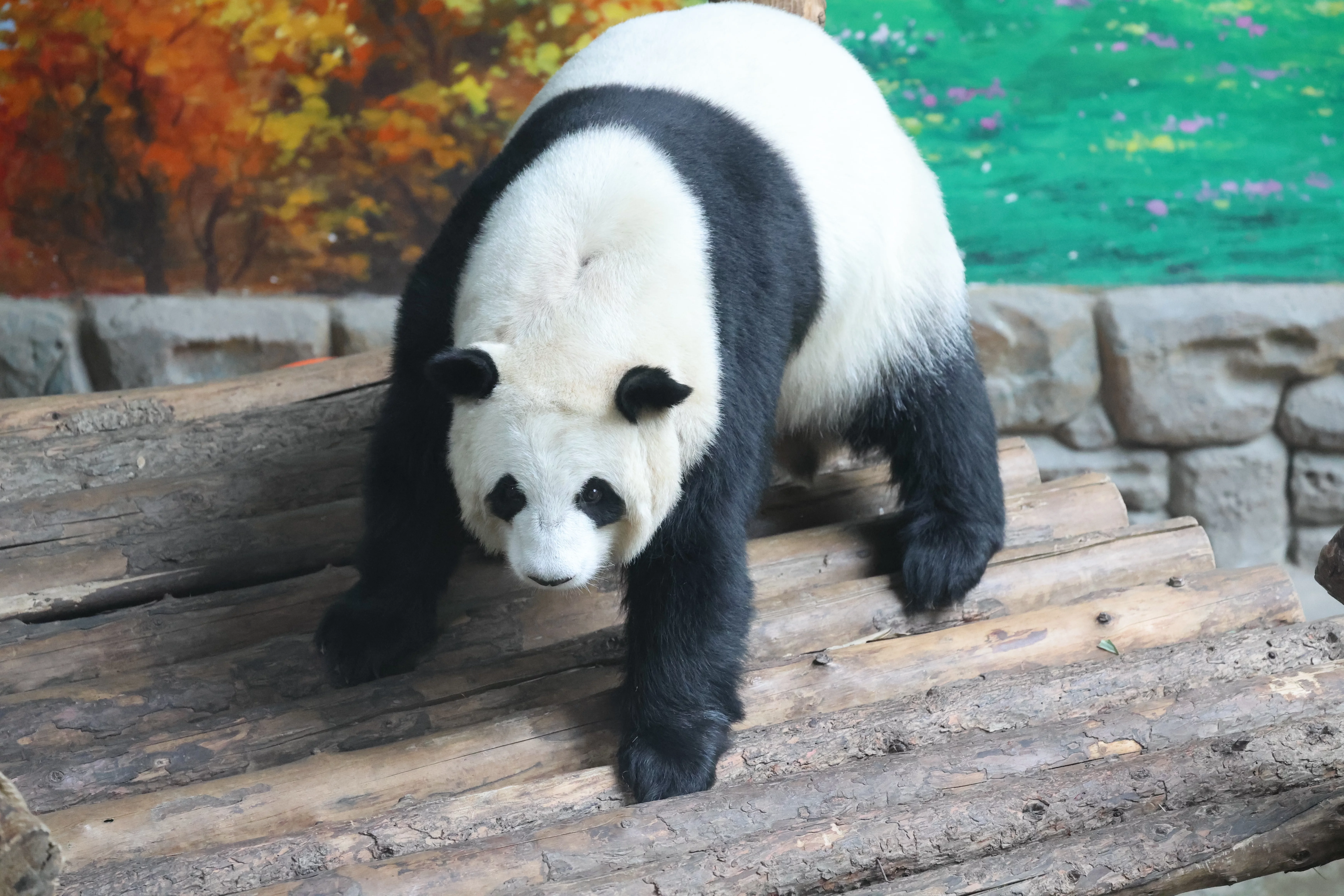 Xining Wildlife Park