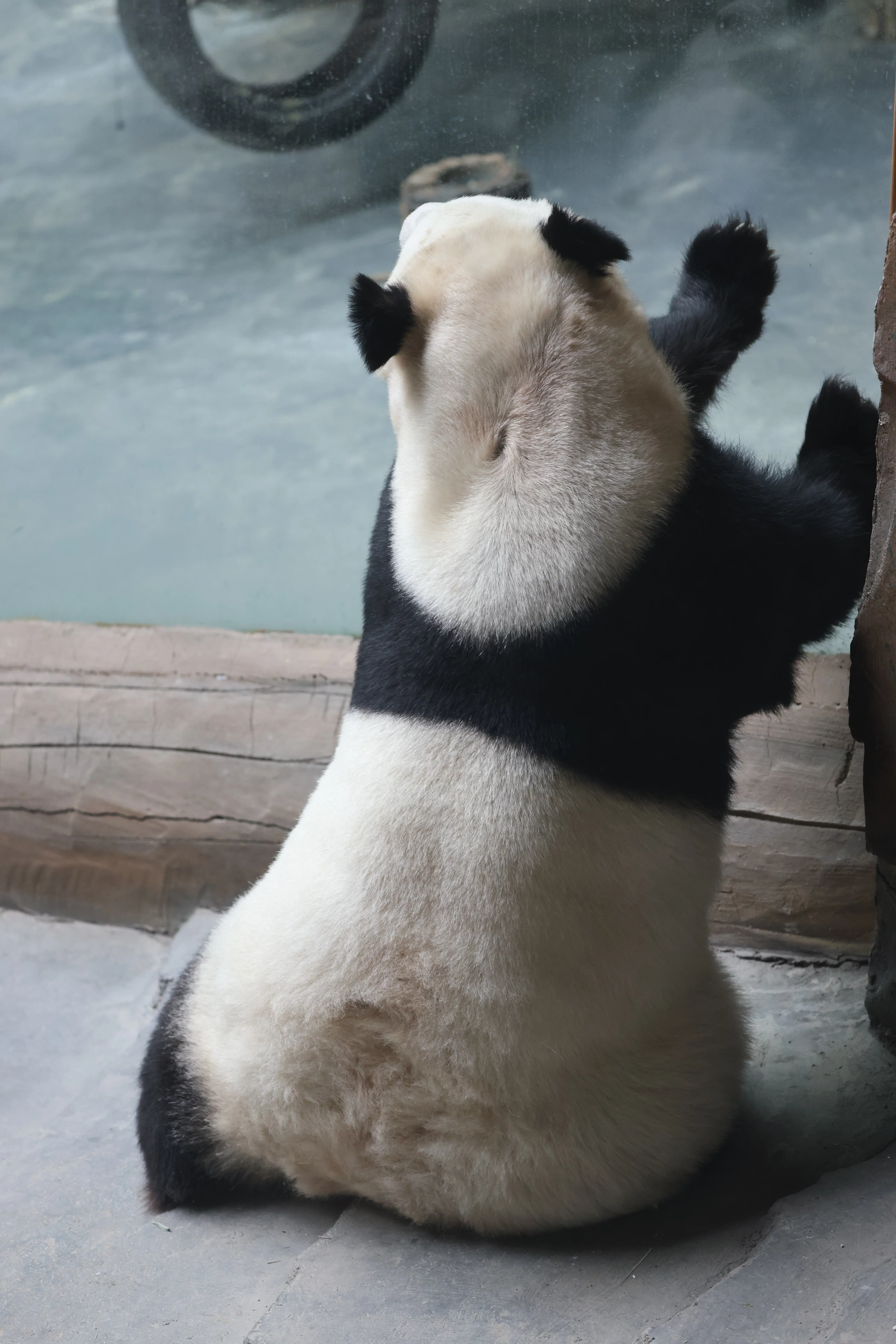 Xining Wildlife Park