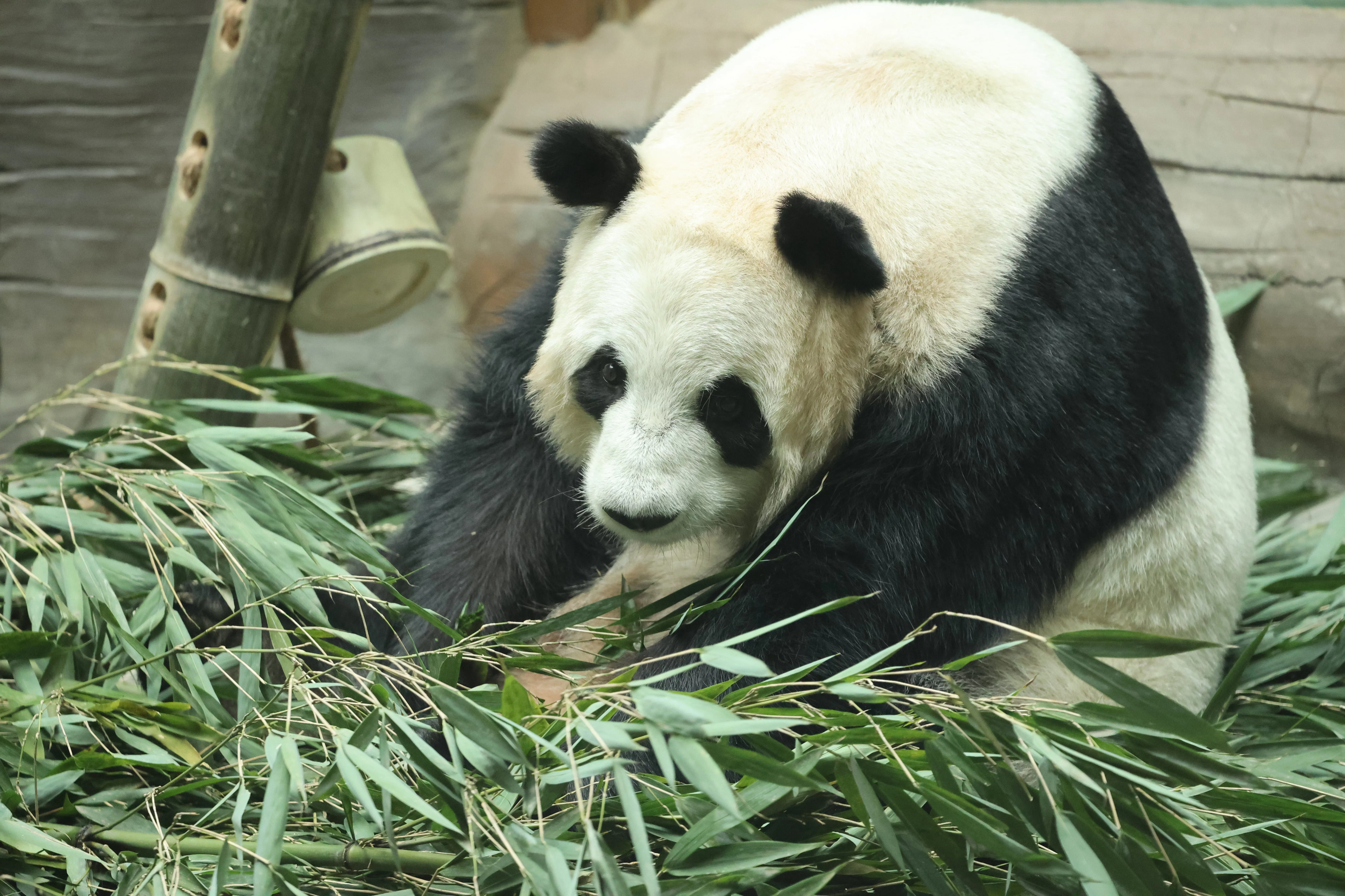 Xining Wildlife Park