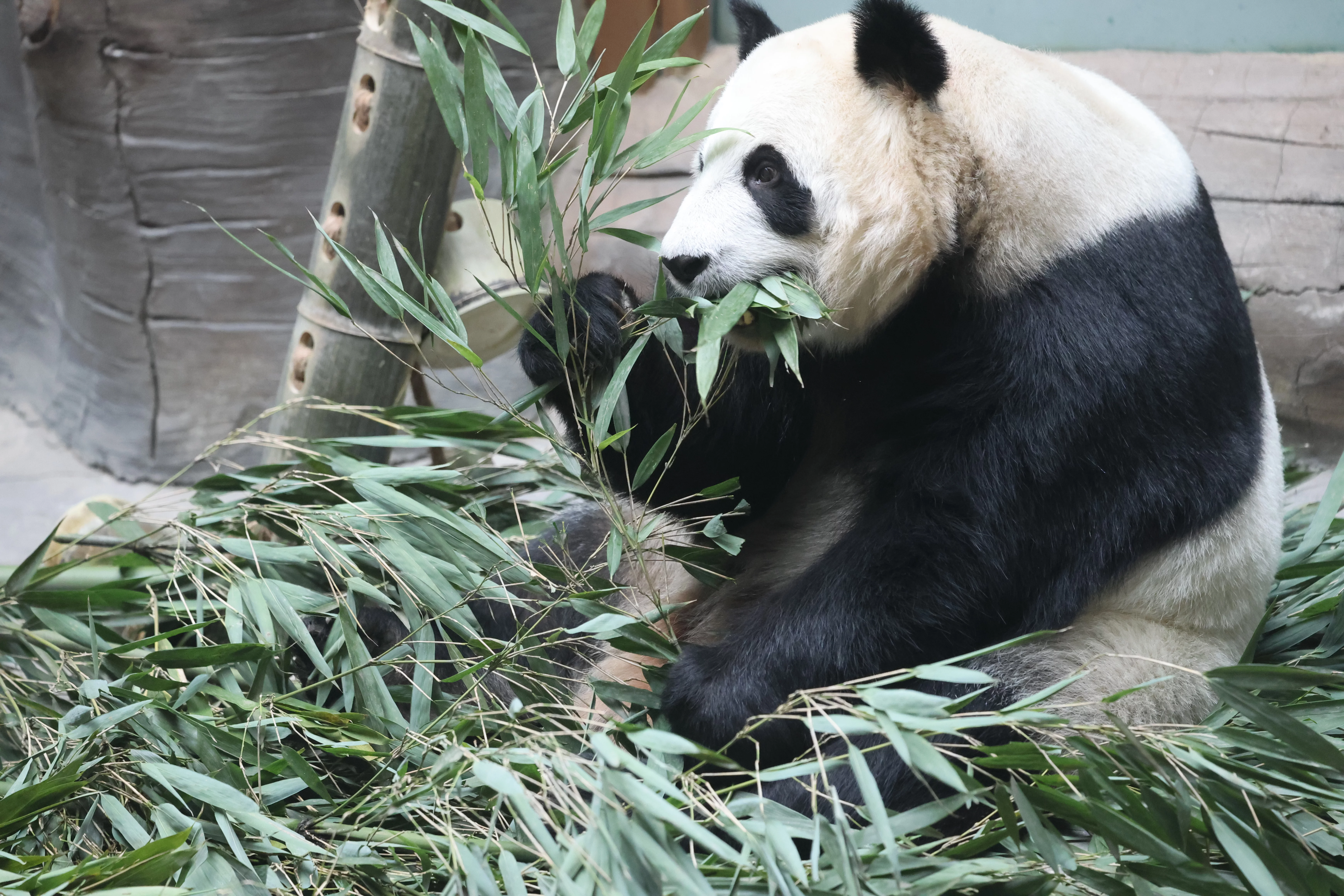 Xining Wildlife Park