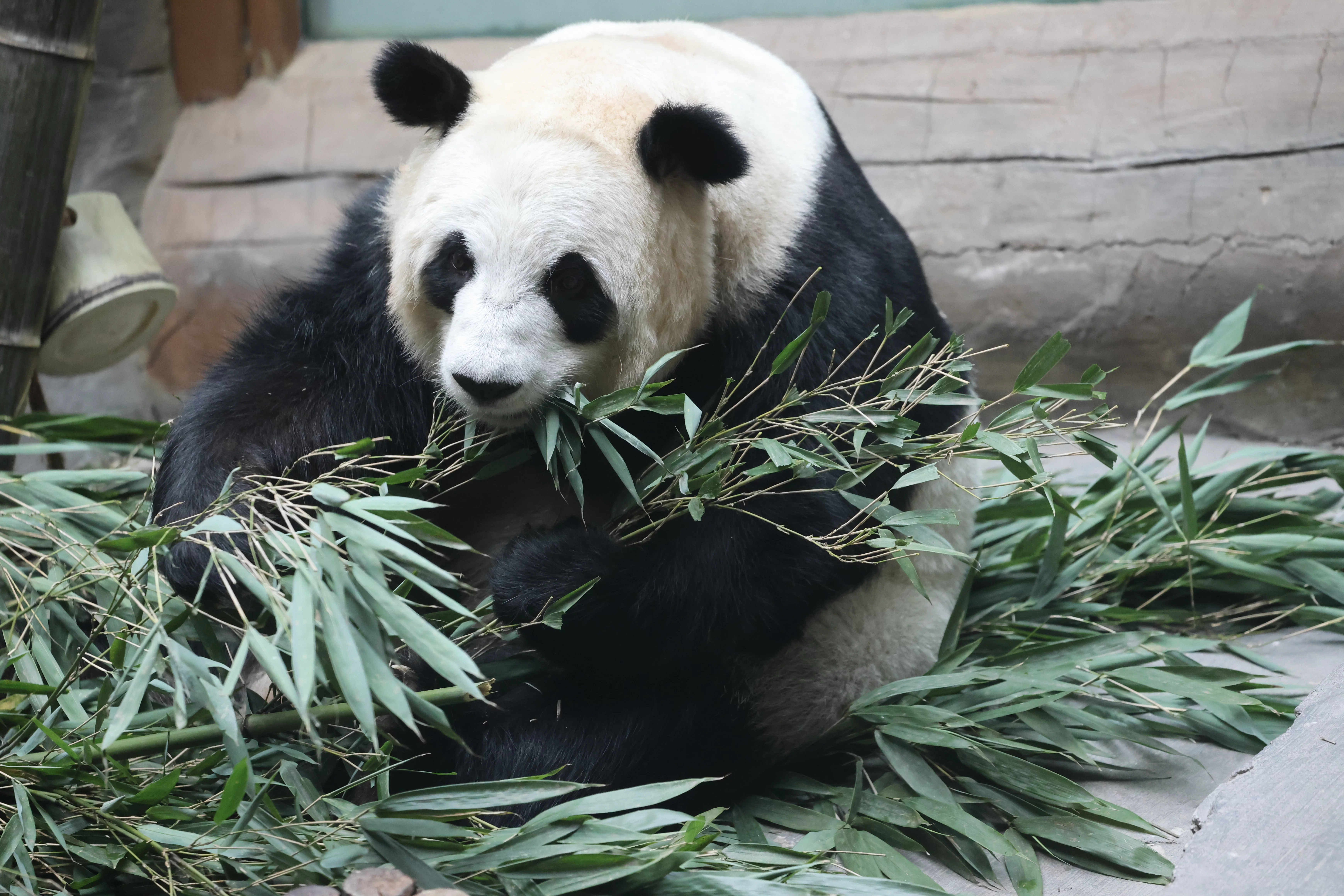 Xining Wildlife Park