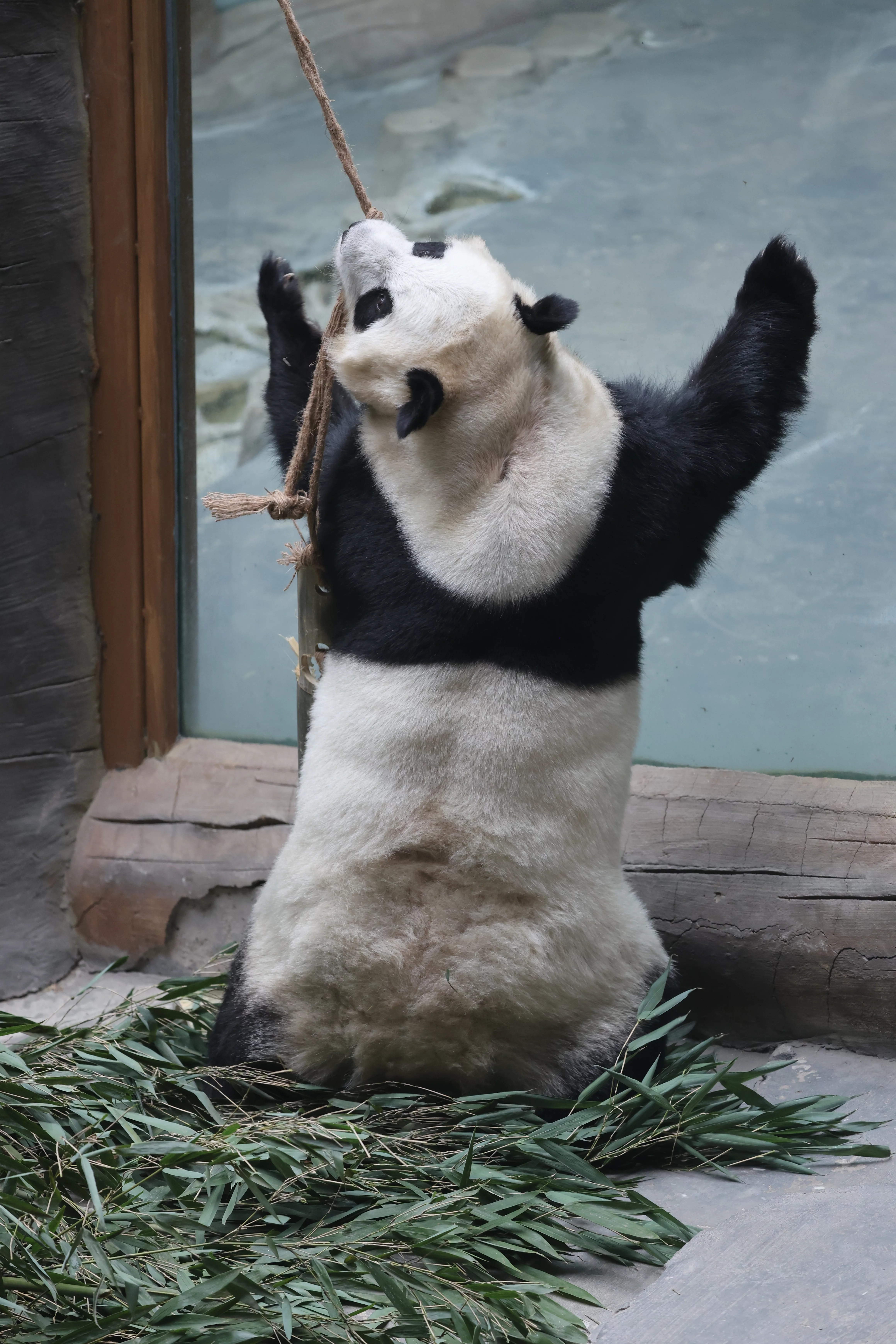 Xining Wildlife Park