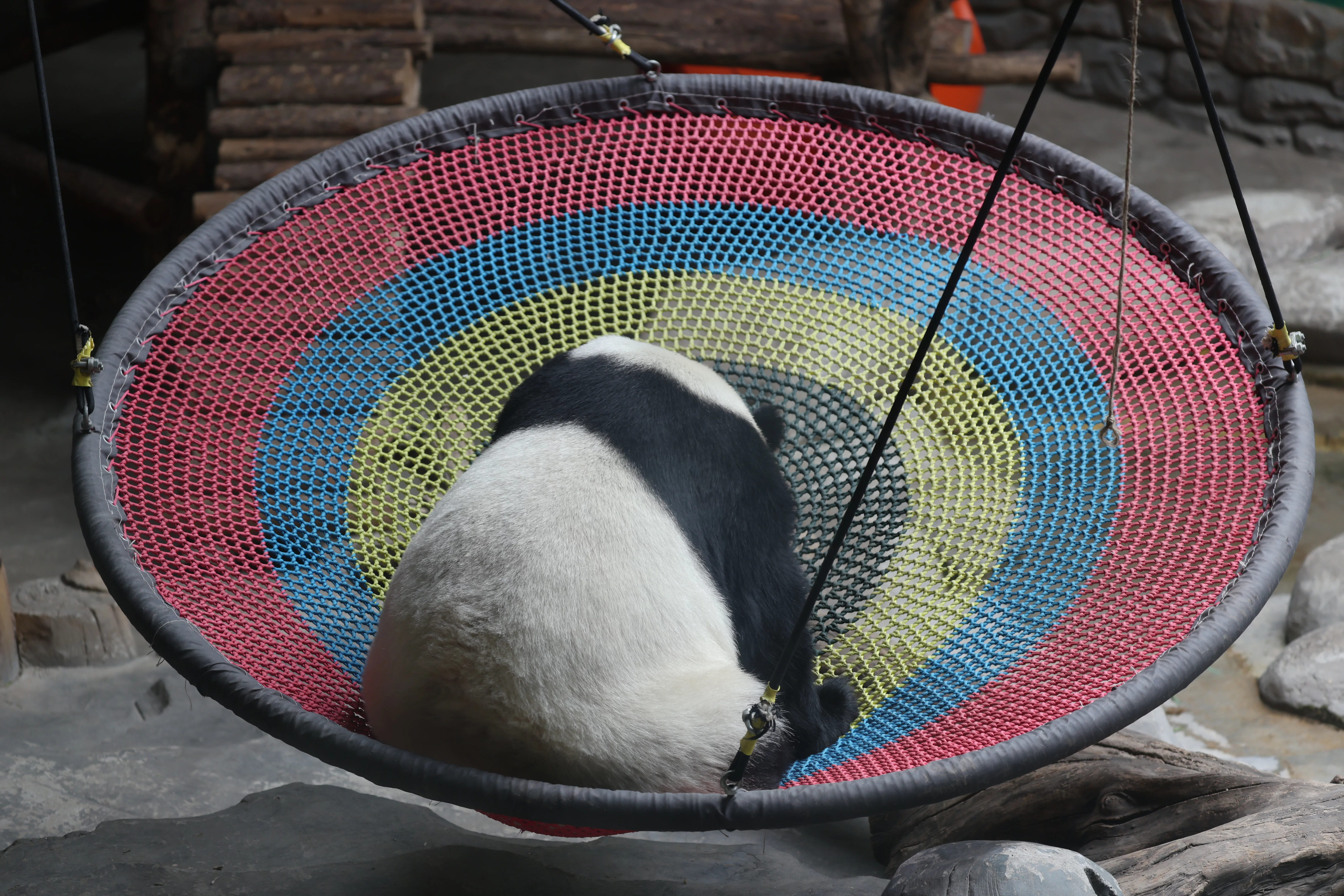 Xining Wildlife Park