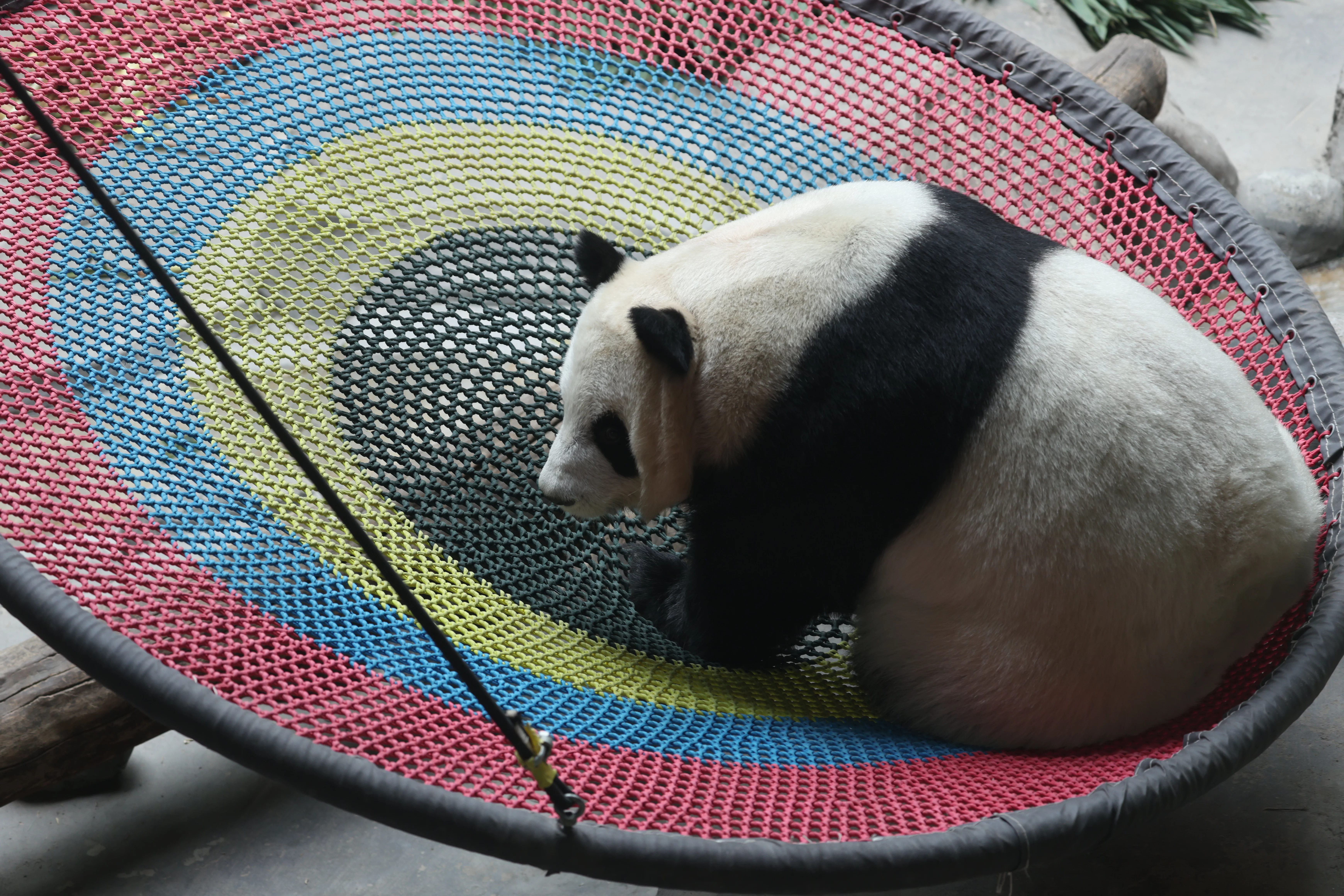 Xining Wildlife Park