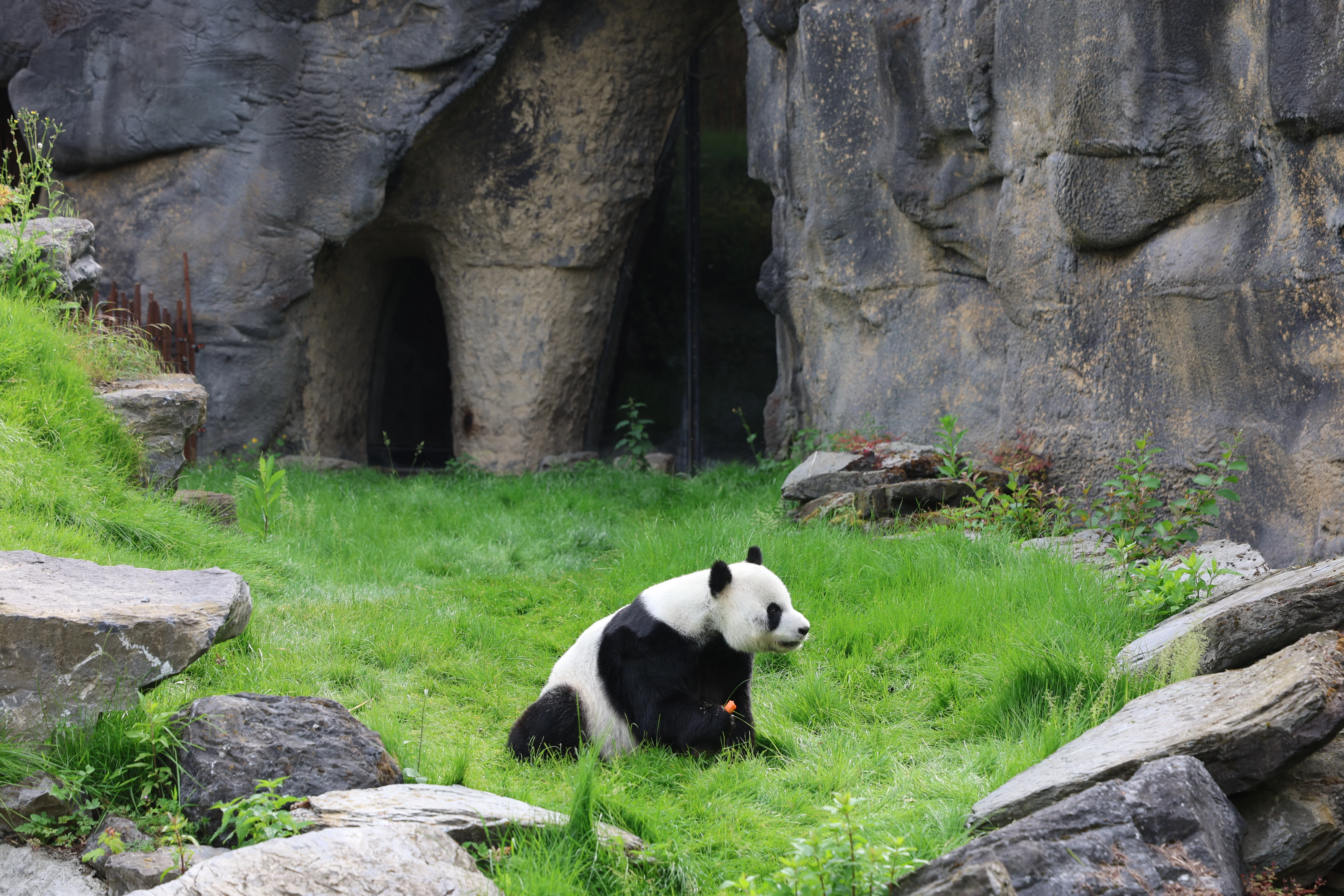 Pairi Daiza
